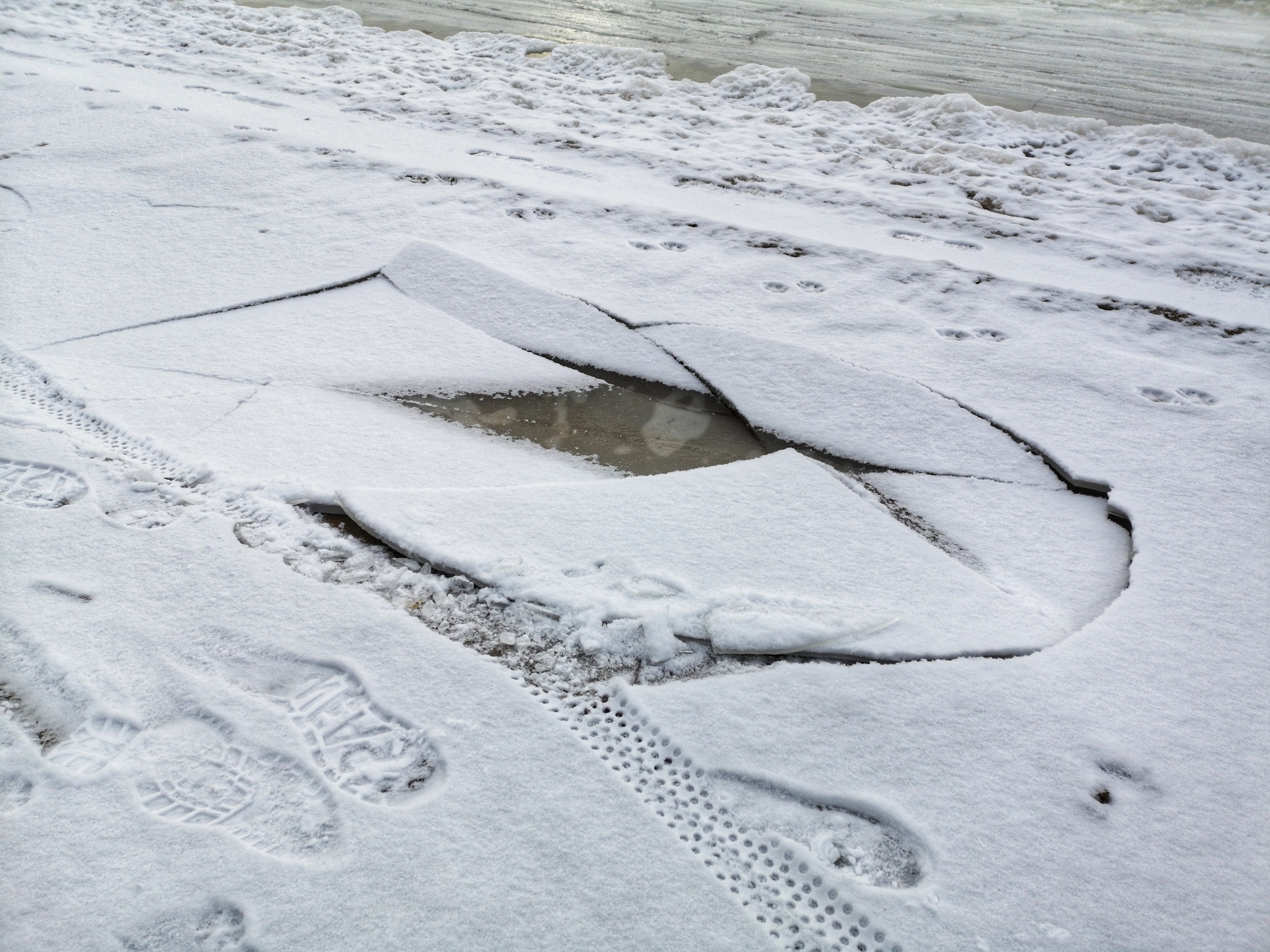 Along the beaches of the Uchinsky reservoir - My, A bike, Winter, Longpost