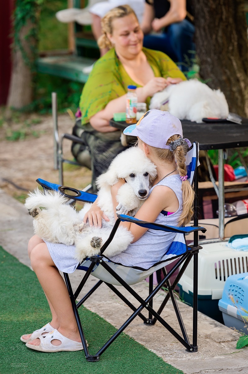 Another series of reportage photos from dog shows held in the South of Russia - enjoy viewing and good mood)) - My, Dog, Dogs and people, Dog show, Dog lovers, Dog days, Animalistics, Longpost