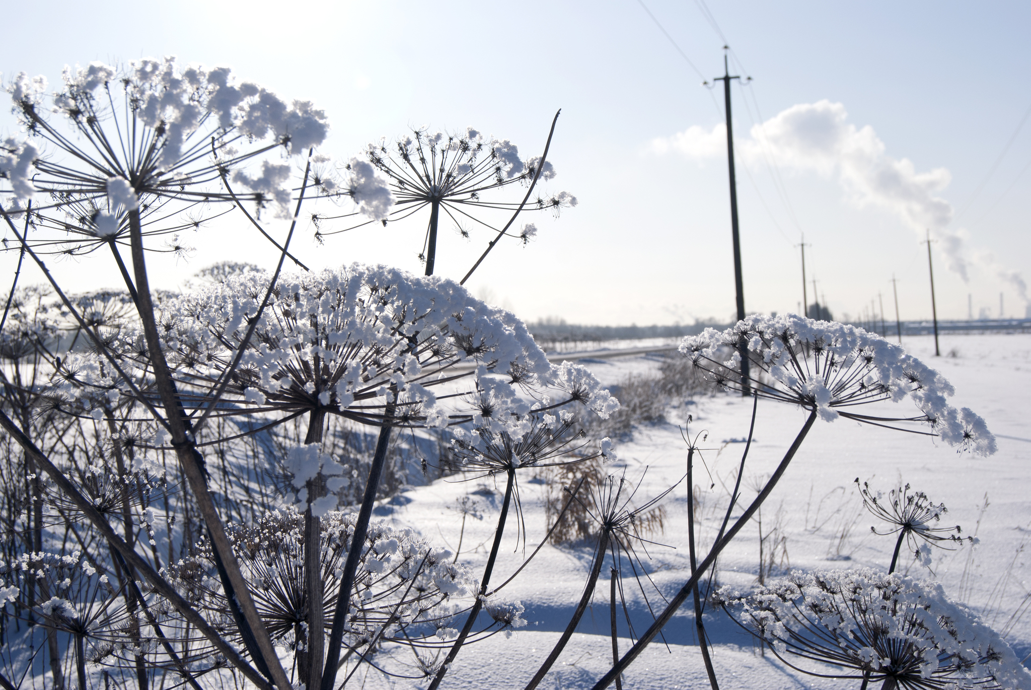 For those who never got snow - My, Winter, Snow, The photo