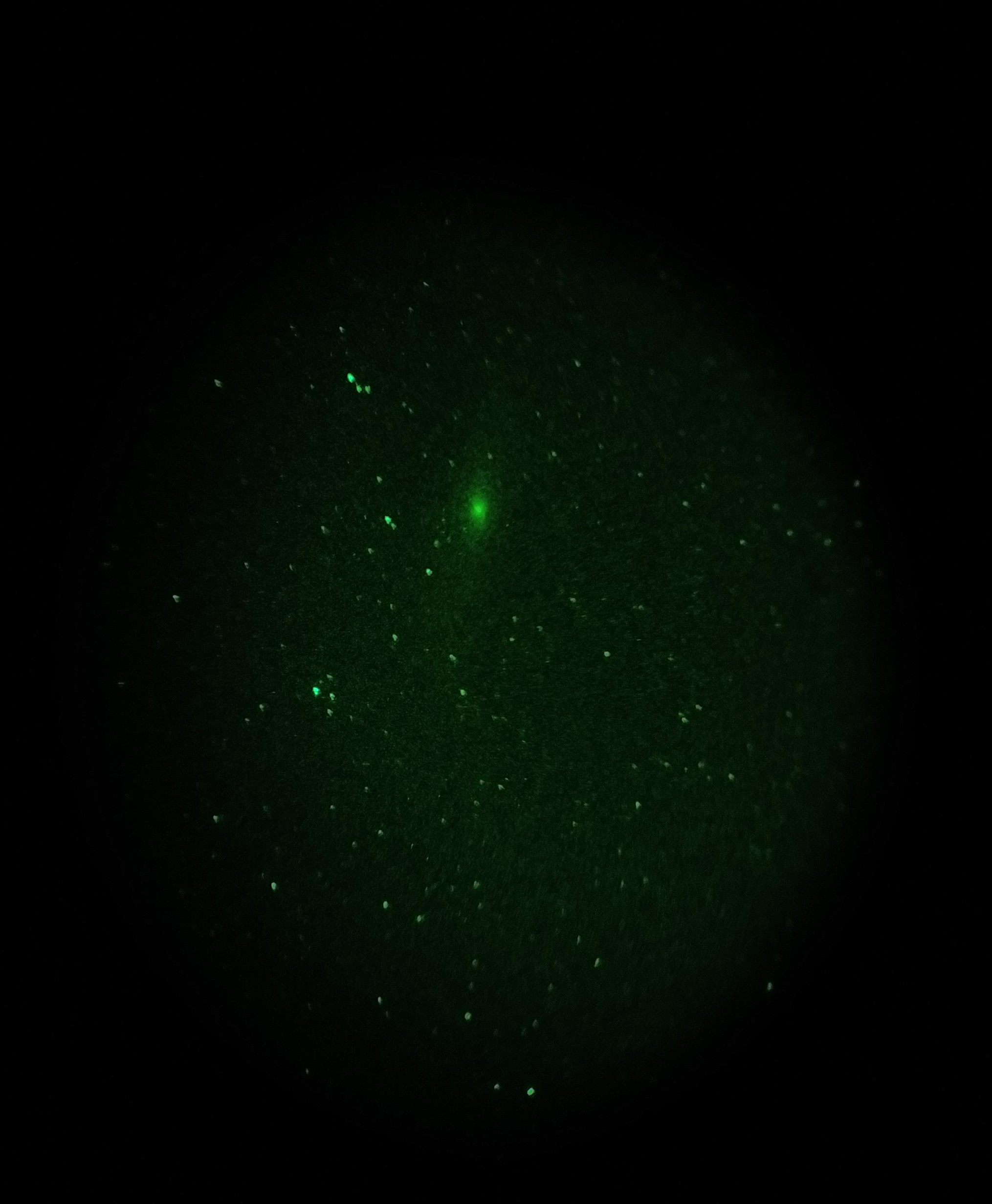 Andromeda Galaxy in night vision device - My, Astrophoto, The photo, Night-vision device, Galaxy