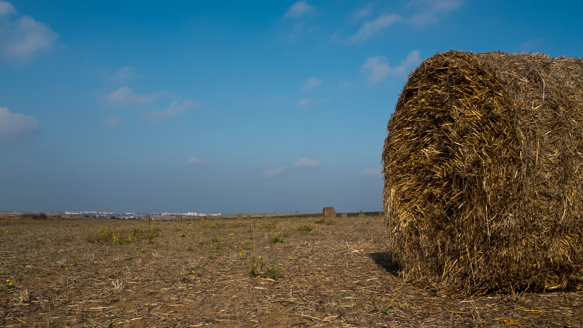 Straw in the steppe - My, The photo, Steppe, Field, Landscape, Vitaliy Zhushchiy, Black Sea, Straw