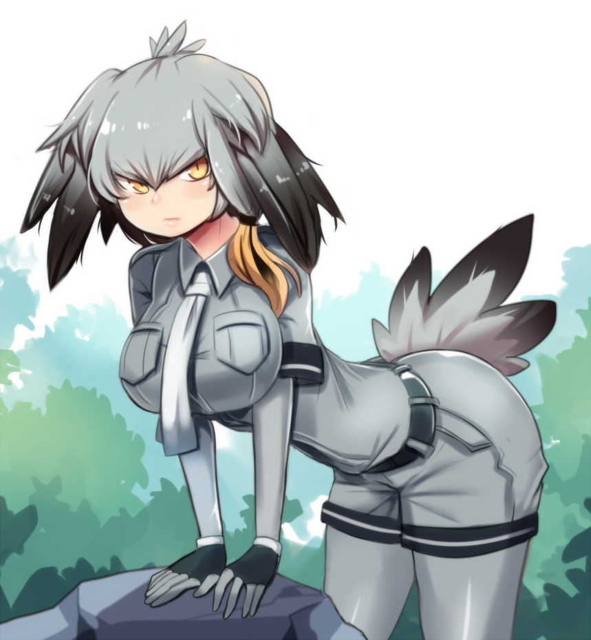 Shoebill - Anime, Anime art, Kemono friends, Shoebill, A selection, Longpost