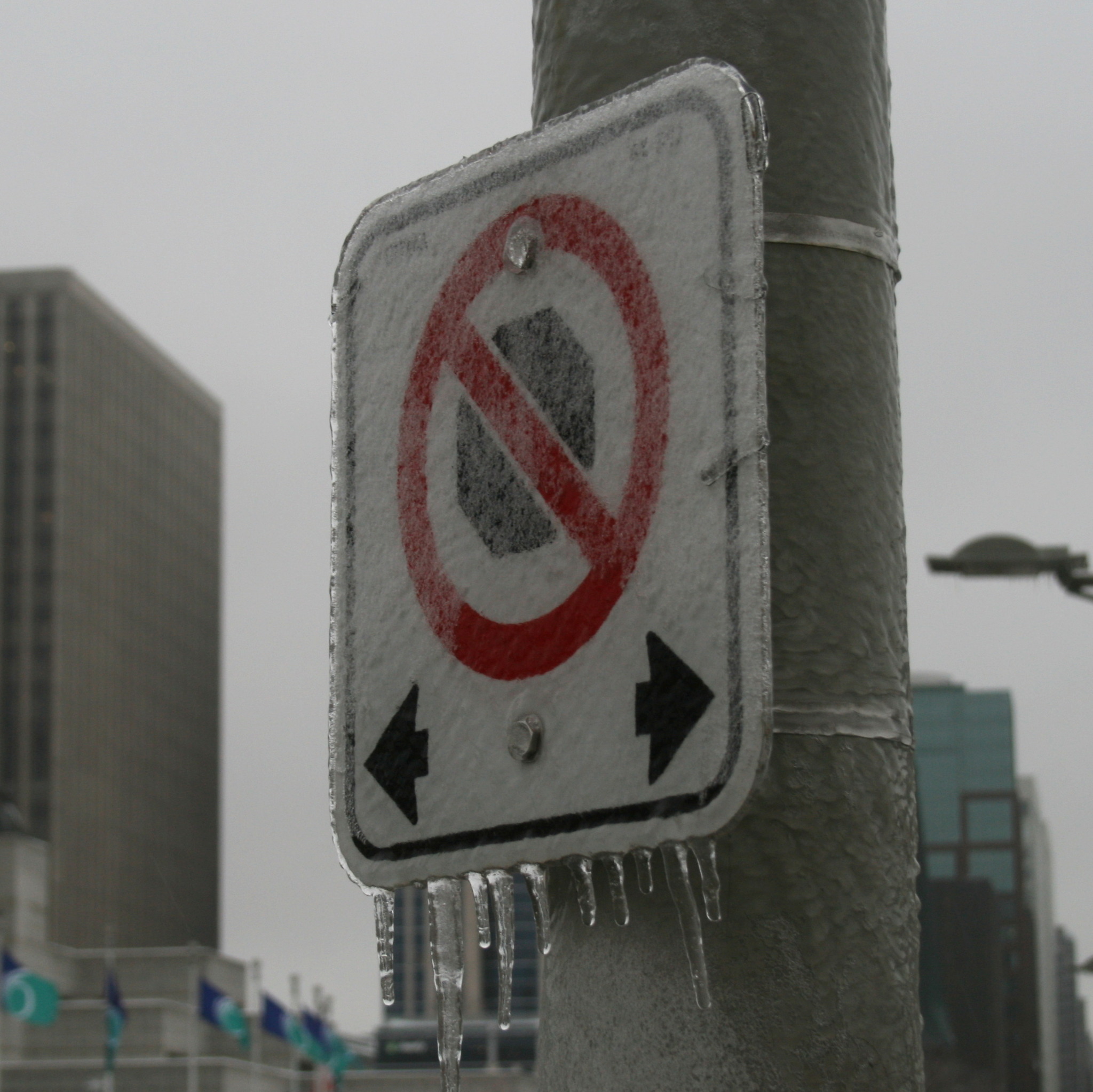 Freezing rain - My, Canada, Winter, Rain, Freezing rain, Ice, Tree, Canon 400D, Longpost