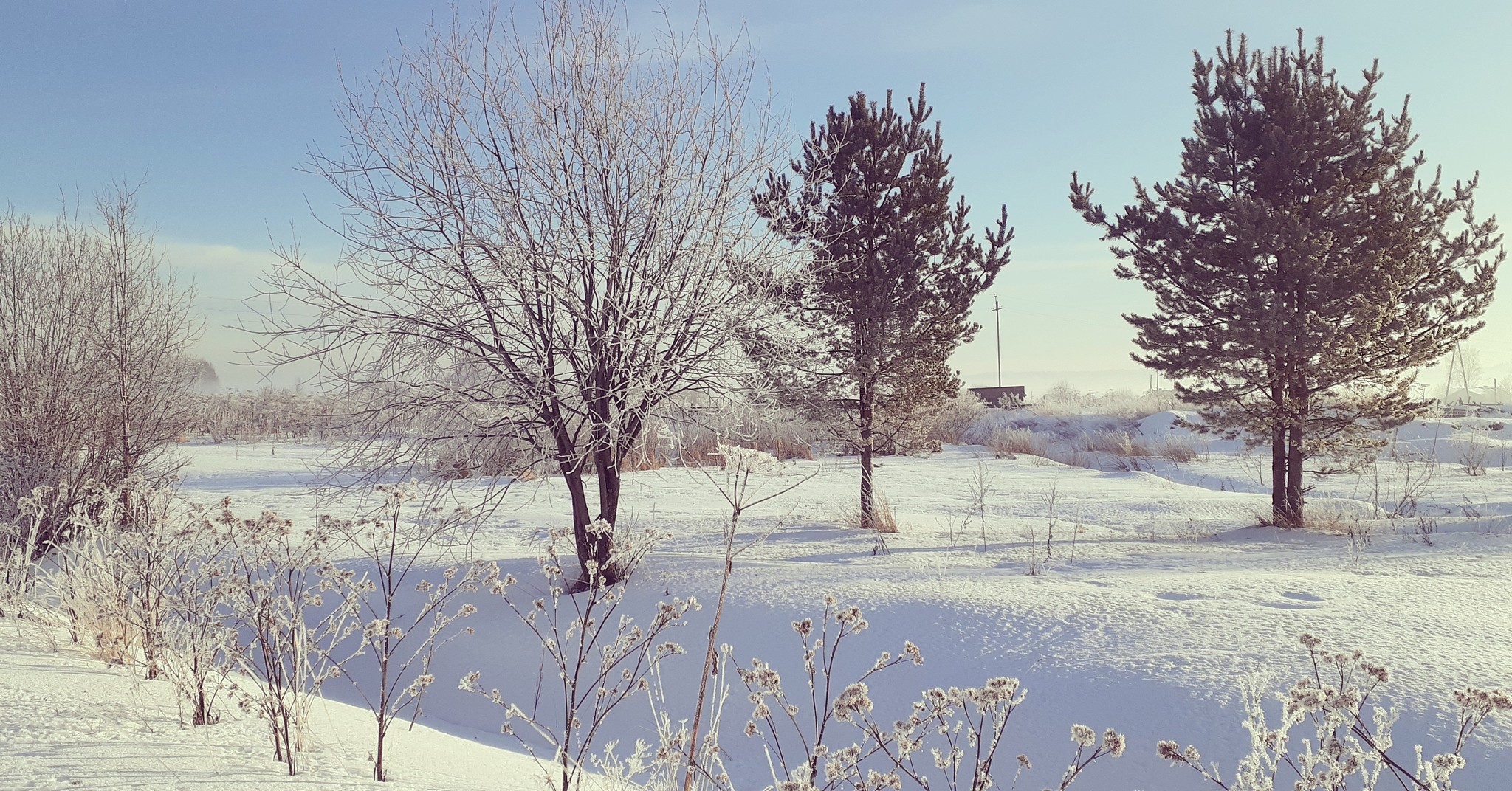 Farmer's Diary. Three days in January - My, Сельское хозяйство, Happy Milkman, Ground squirrel farmer, Video, Longpost