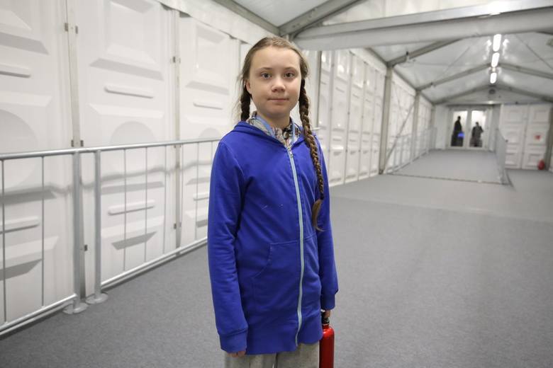 New adventures of Greta the brain - now in Poland - My, Greta Thunberg, Poland, Longpost