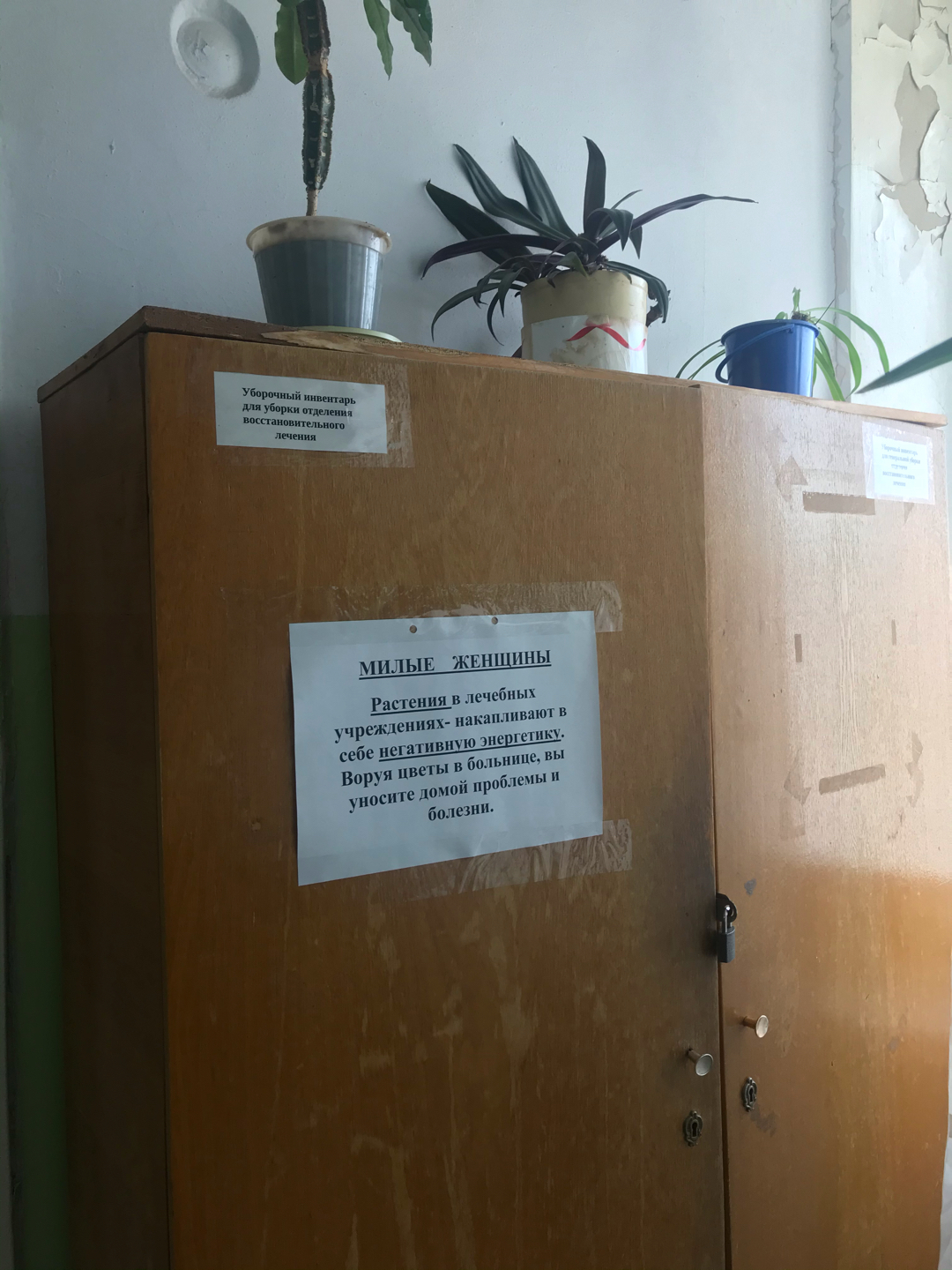 В поликлинике | Пикабу