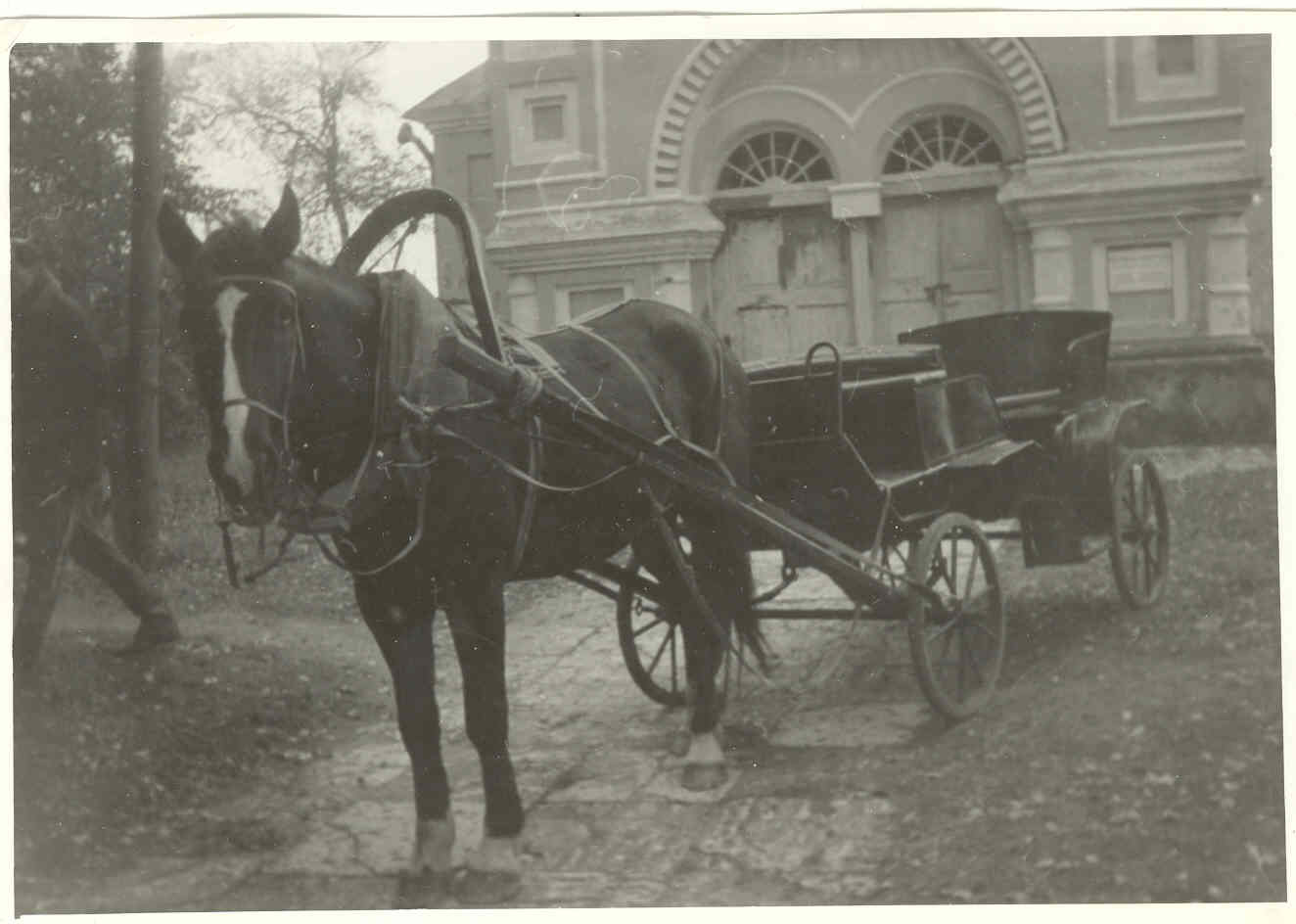 Father - My, Church, Priests, Horses, Longpost