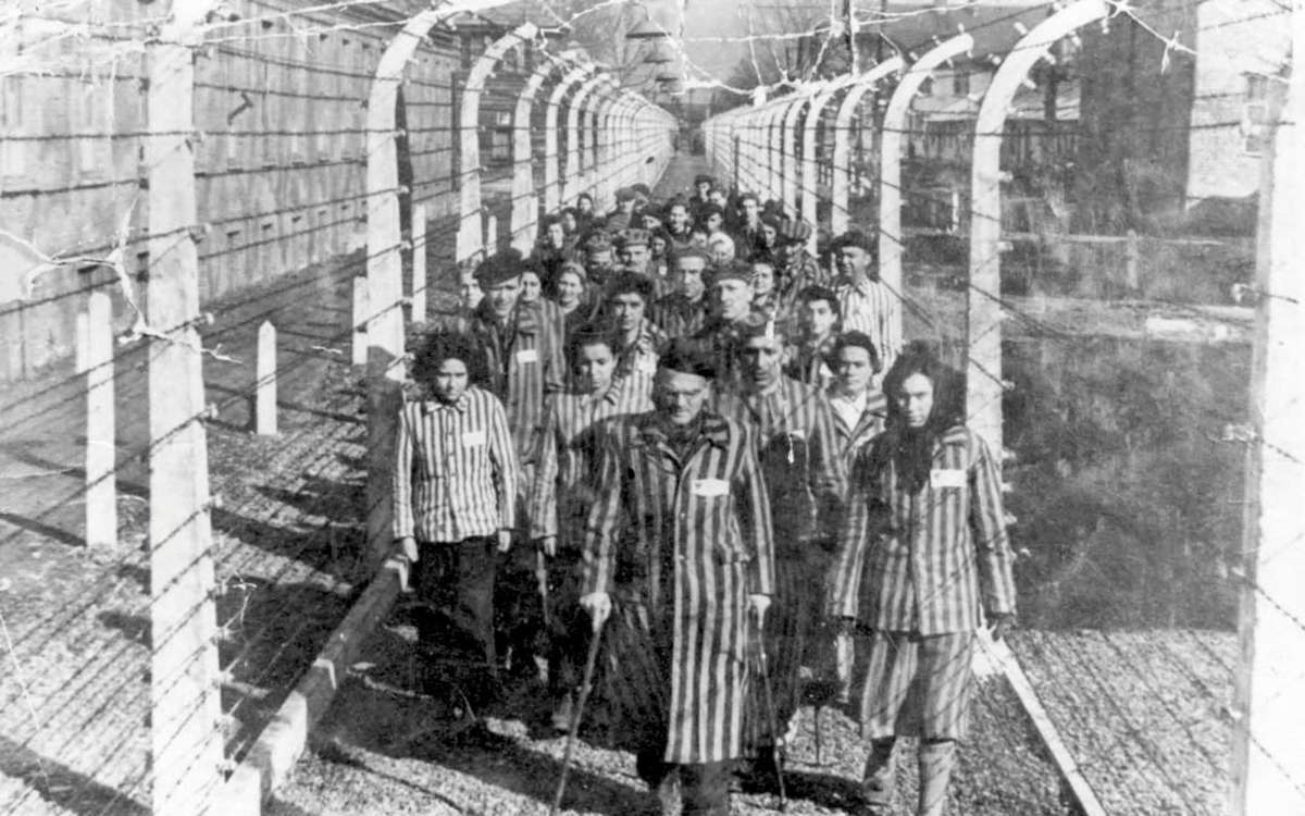 Свидетельства Холокоста: появились новые исторические фото жизни в Освенциме