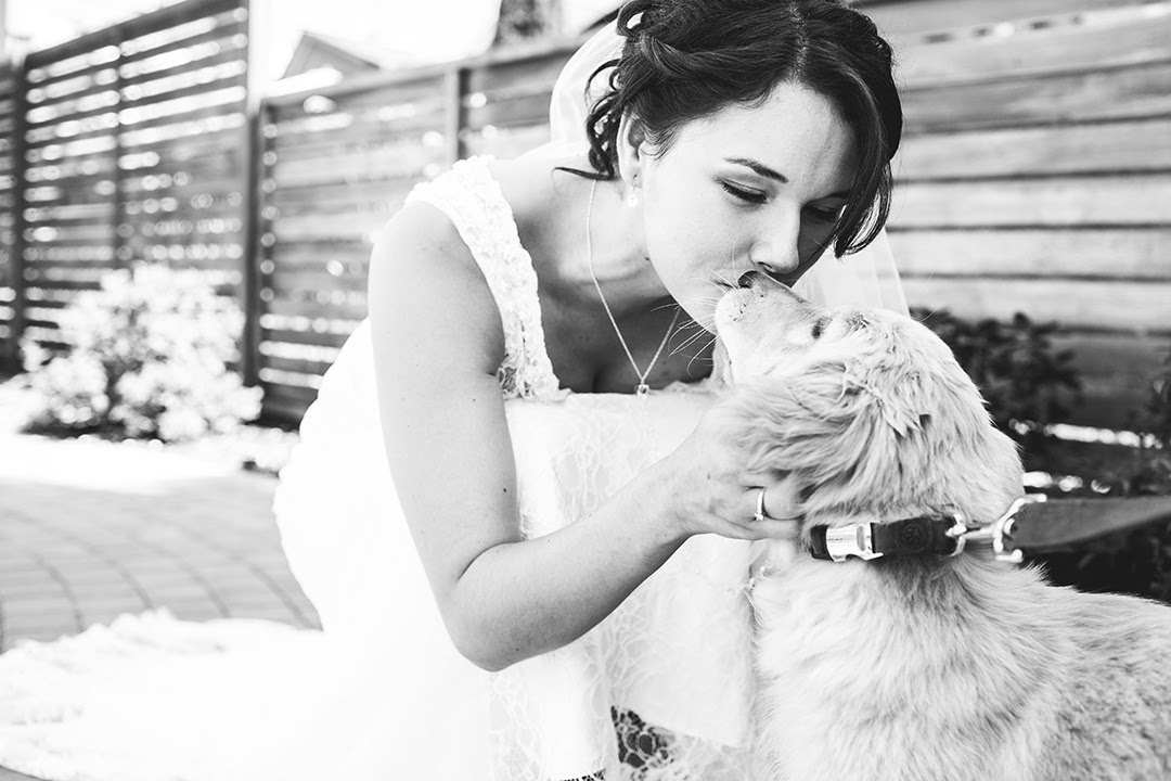 In my opinion, these photos from wedding photo shoots are the best. - Dog, Wedding, PHOTOSESSION, The photo, Groom, Bride, Photobomb, Milota, Longpost