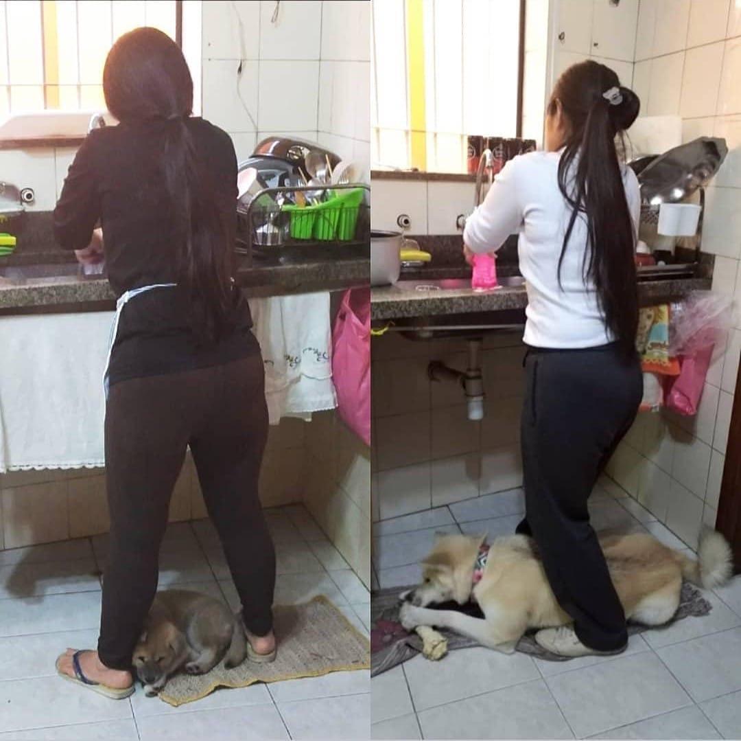 Years go by, but your favorite place remains the same - Dog, Kitchen, Milota, Girls, From the network