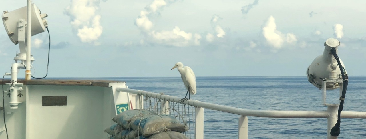 Seascapes or what a sailor sees from the ship - My, Sea, Work at sea, The photo, Nature, beauty, Longpost