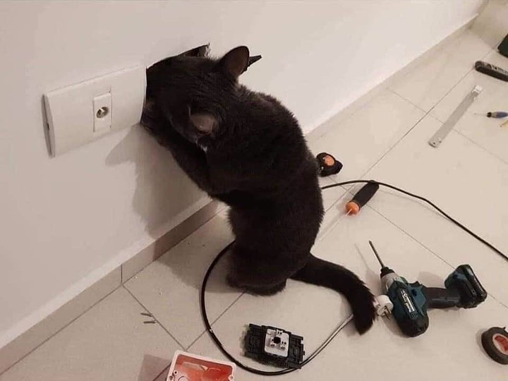 When you thought you could handle it without an electrician - Электрик, With your own hands, cat