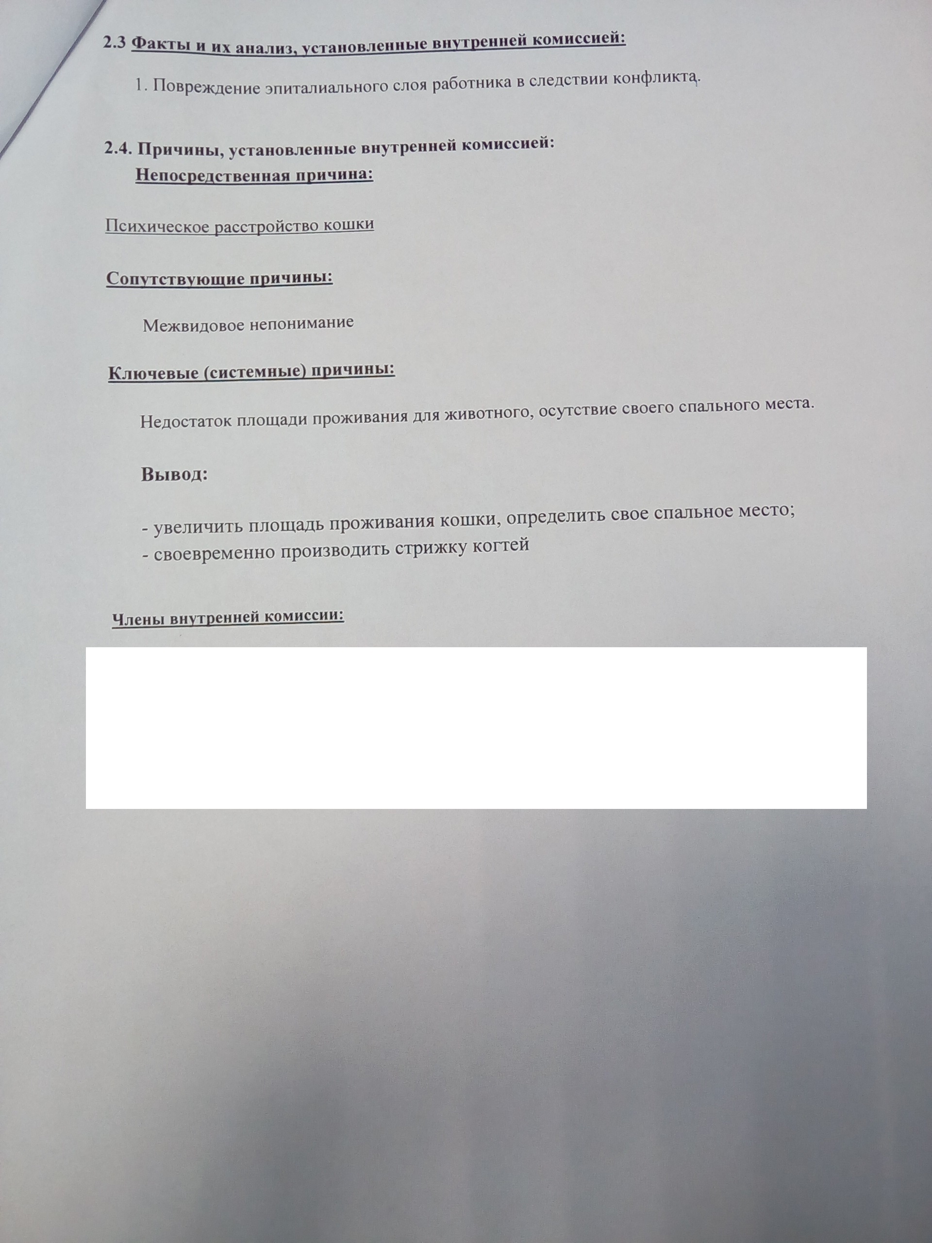 Межвидовое непонимание в быту - Моё, Травма, Кот, Расследование, Непонимание, Конфликт, Комиссия, Производство, Длиннопост