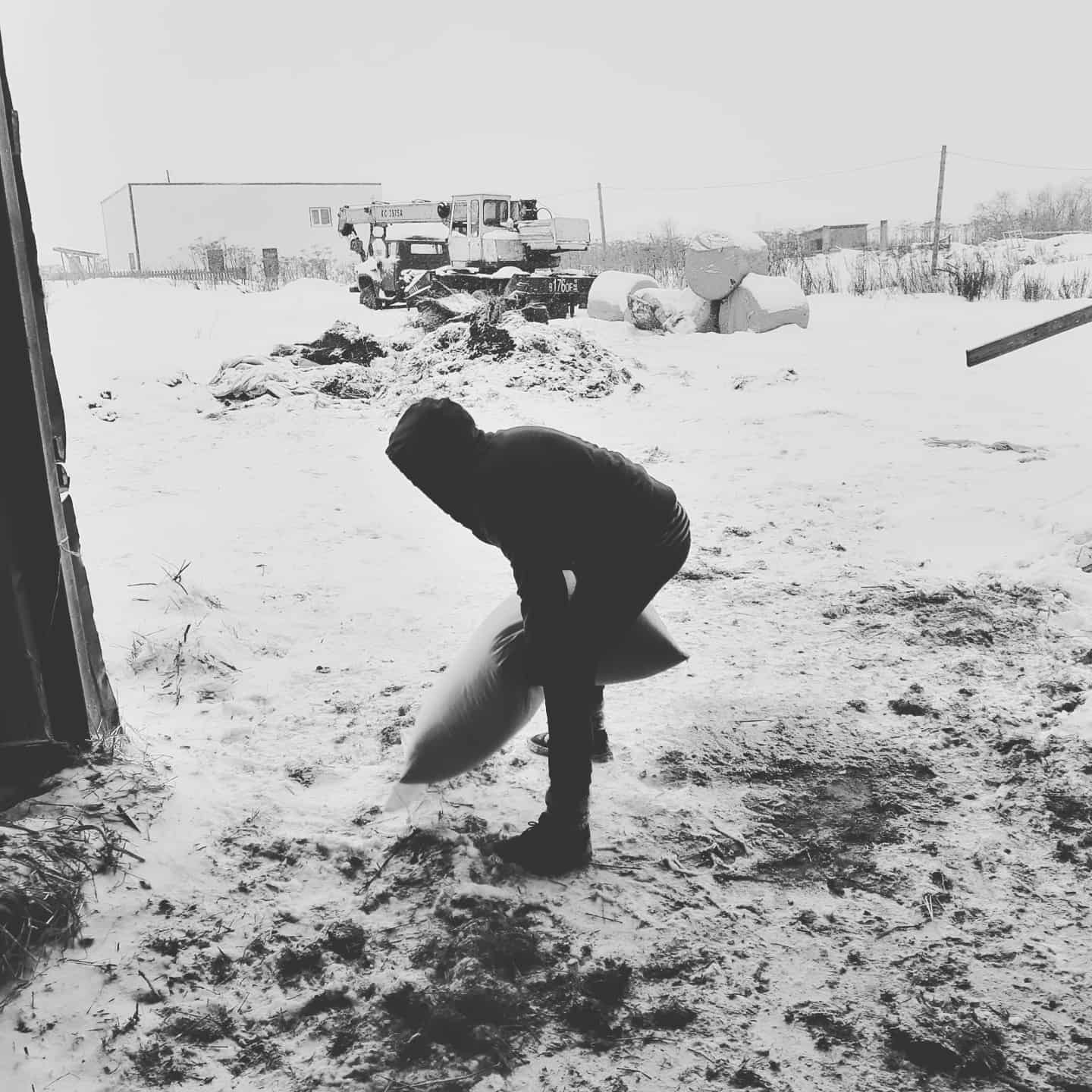 Farmer's Diary. Rural CrossFit - My, Сельское хозяйство, Ground squirrel farmer, Crossfit, Workout, Longpost