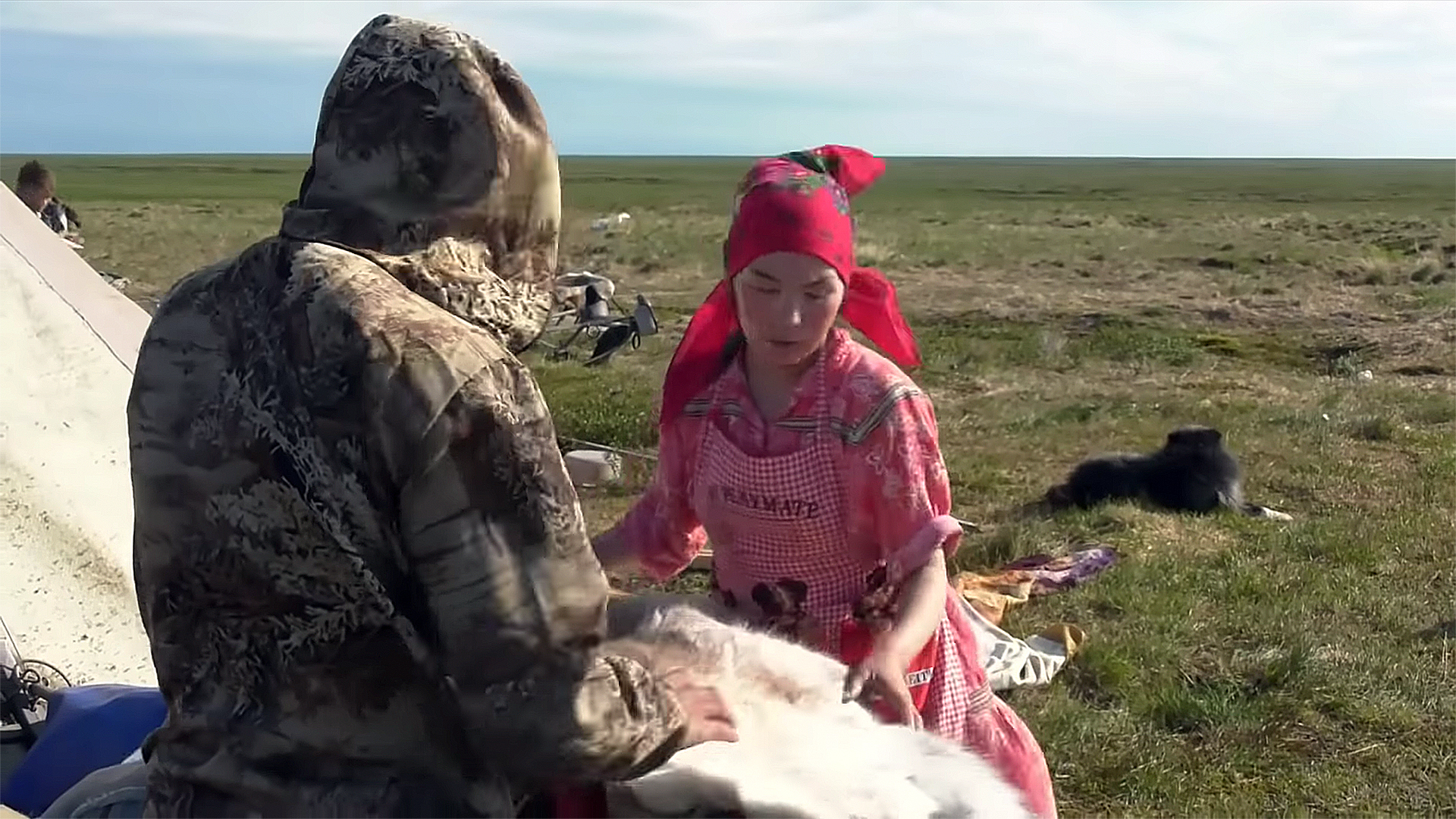 NEDARMA - the path, the roads of the Khudi family - Yamal, Deer, Reindeer herder, Nenets, Pasture, Nomads, Tundra, Arctic, Video, Longpost