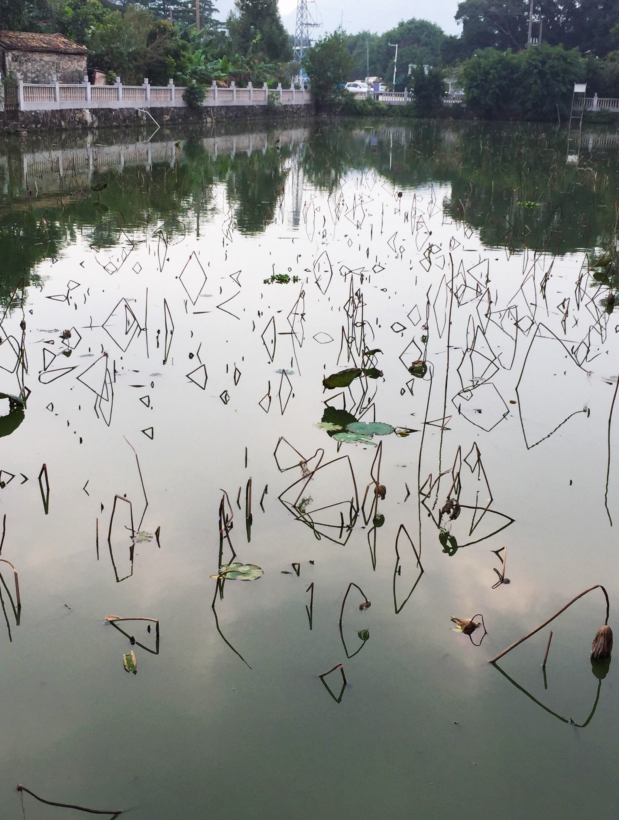 Sudden Geometry - Reflection, Water, Forms