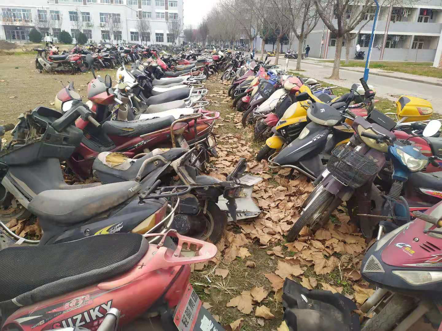 Giant bicycle dump in front of the house - My, China, A bike, Dump, Disposal, Longpost