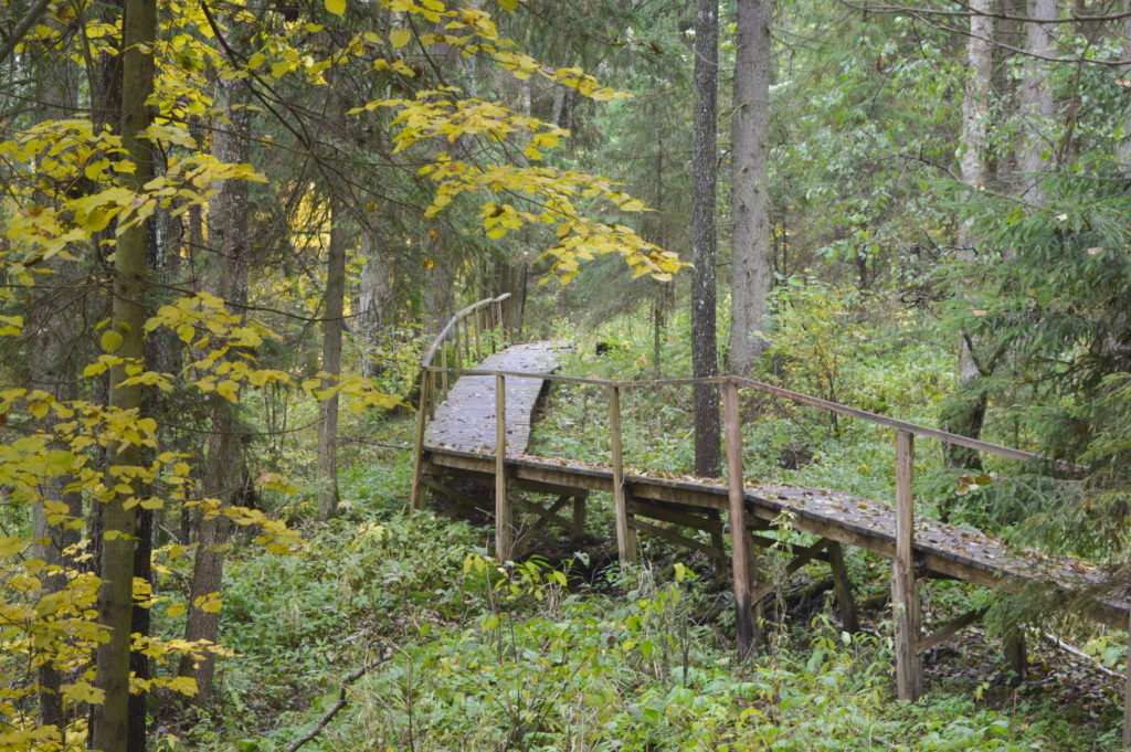 Belarusian mountains and waterfalls - My, Republic of Belarus, Spring, Eco-trail, Walk, Travels, Longpost