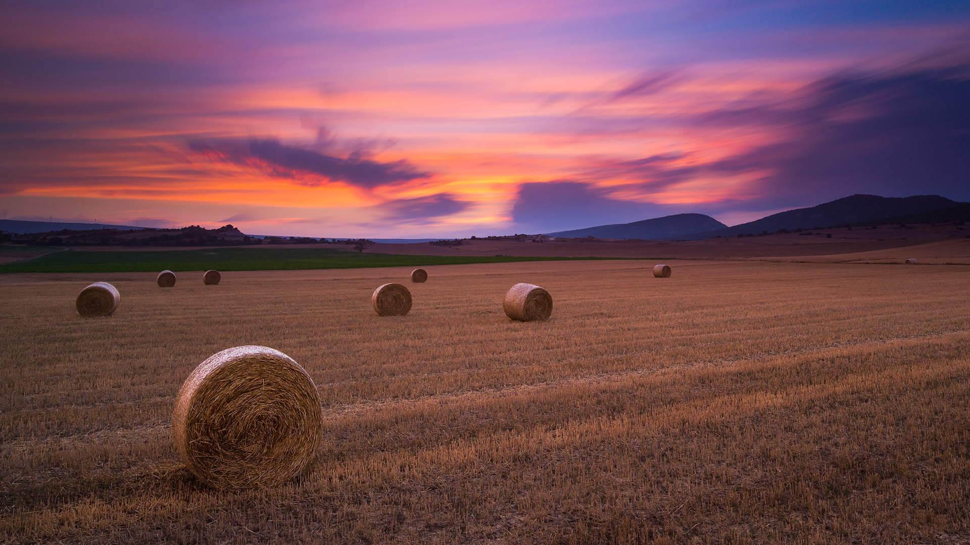 On the Sunset - Nature, Field, Straw, Sunset, The photo