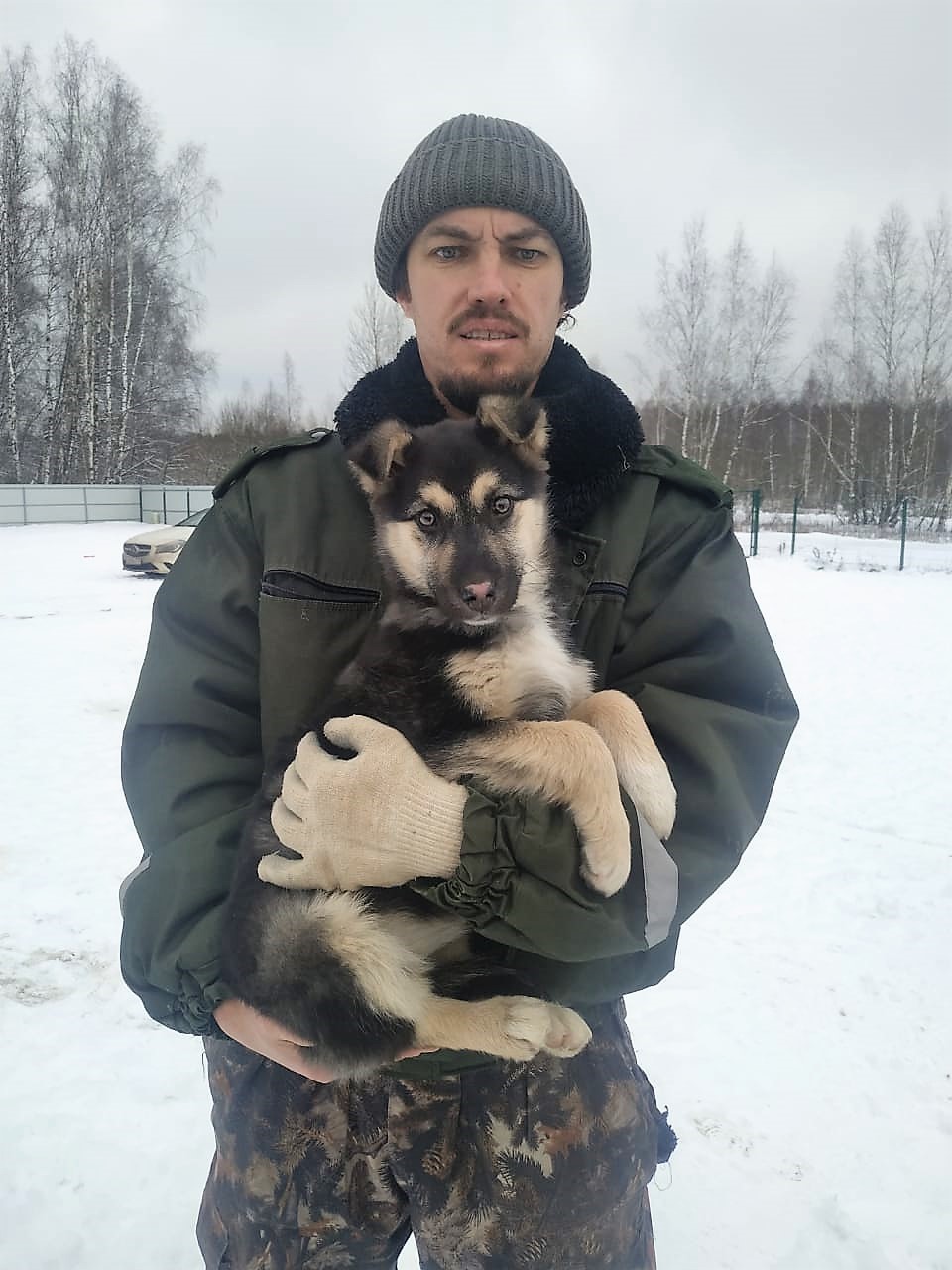 I'll give the puppy into good hands - My, Dog, In good hands, Moscow, No rating, Moscow region, Puppies