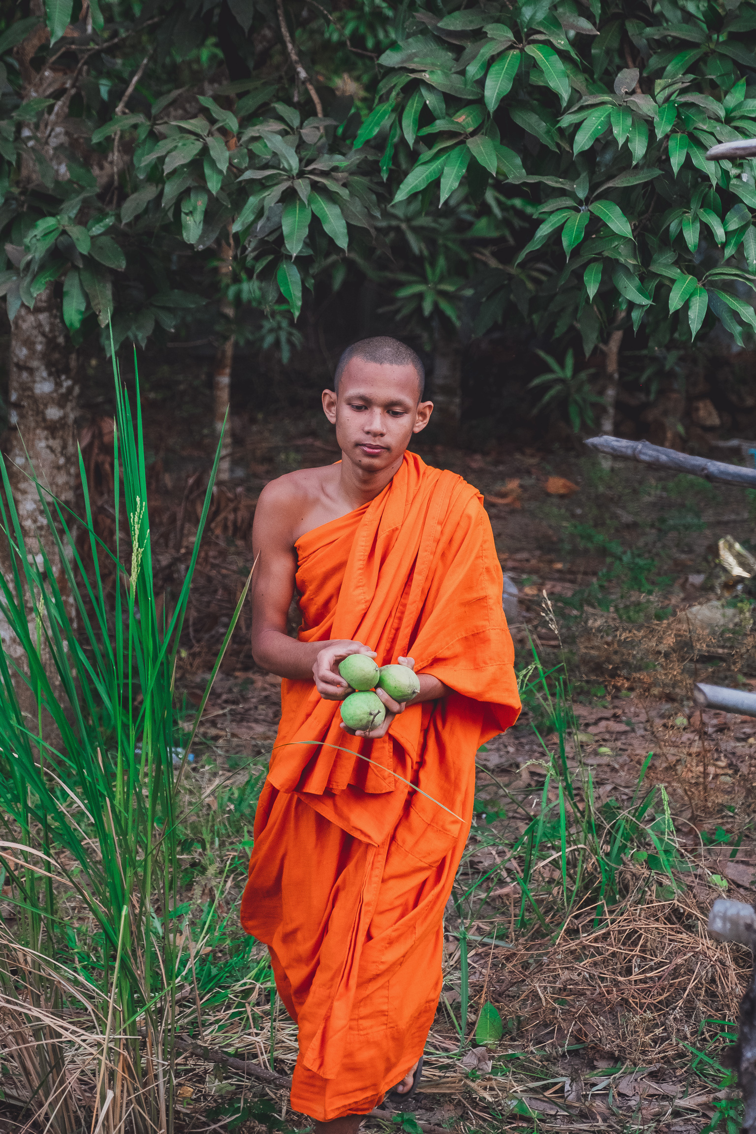 Cambodia - a village the size of a country - My, The photo, Travels, Children, Village, Portrait, Poverty, Monks, Longpost