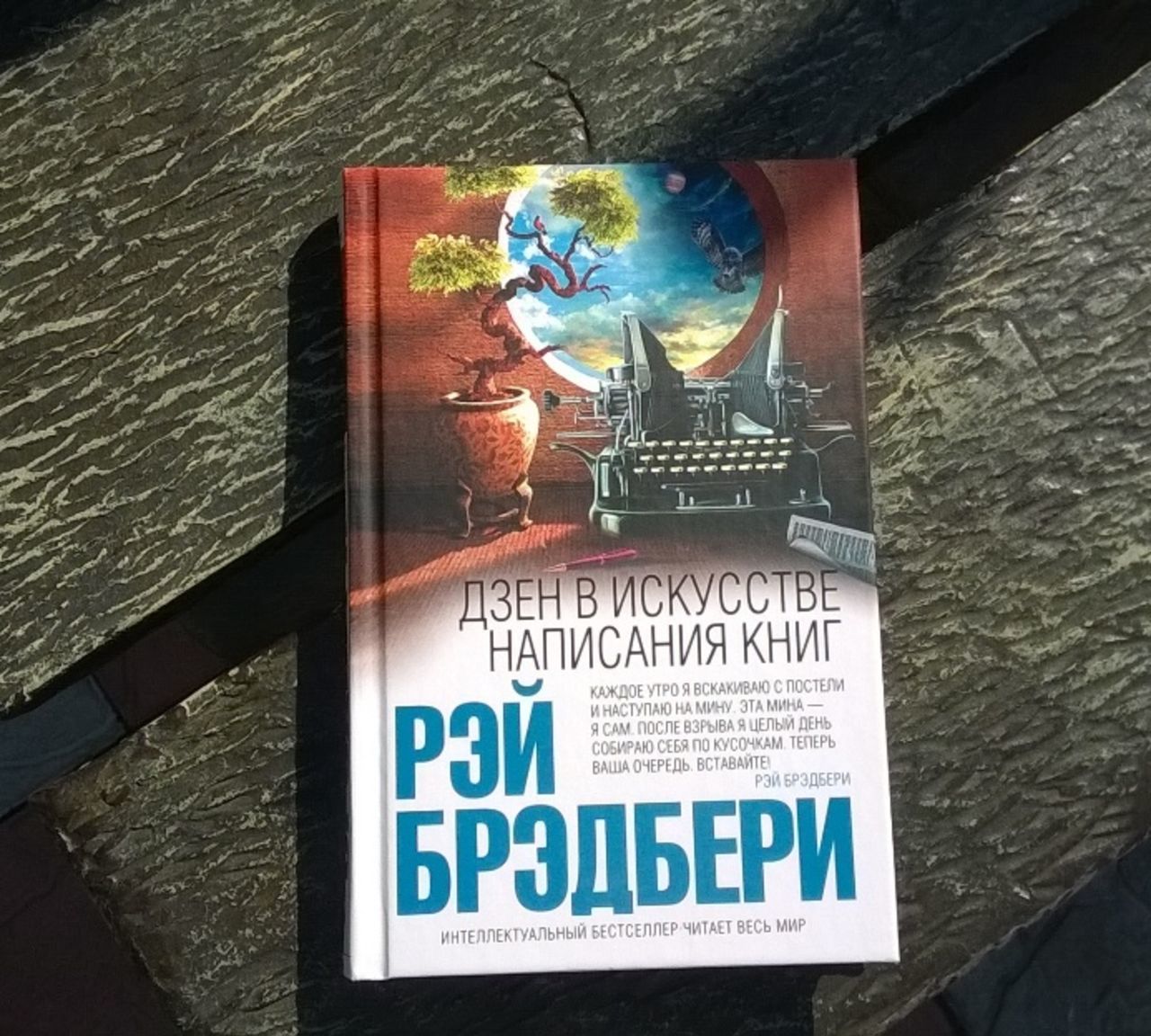 Книги о том как писать книги. Брэдбери дзен в искусстве написания книг.