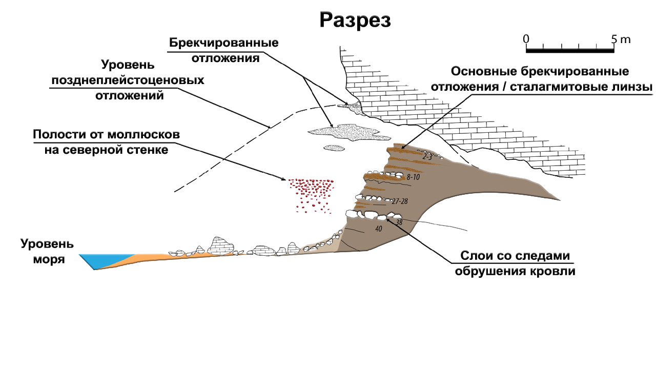 Neanderthals - life by the sea and use of marine resources - My, The science, Archeology, Anthropology, Story, Research, Longpost, Neanderthal, Excavations, Video, GIF