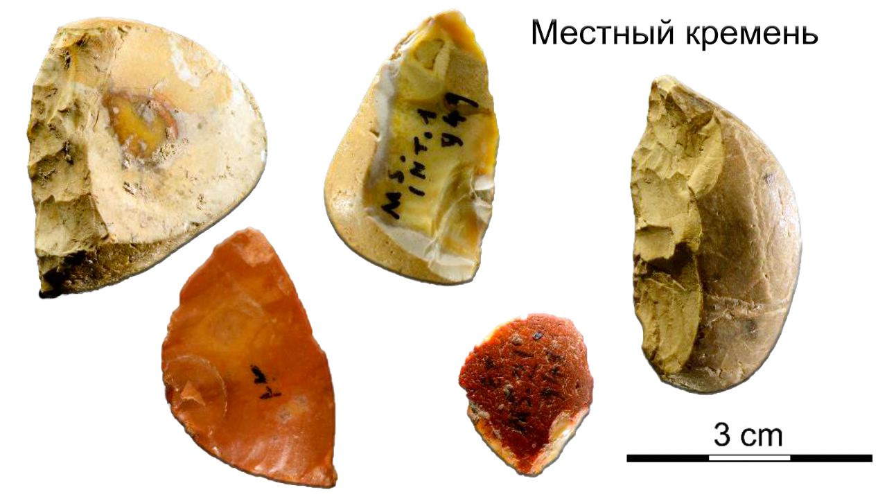 Neanderthals - life by the sea and use of marine resources - My, The science, Archeology, Anthropology, Story, Research, Longpost, Neanderthal, Excavations, Video, GIF