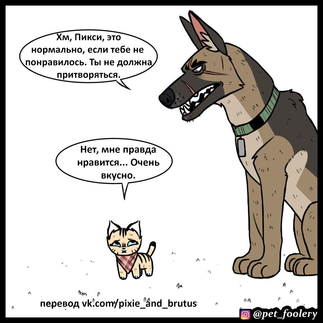 Lemon - Pet foolery, Brutus and Pixie, Comics, Longpost, Lemon