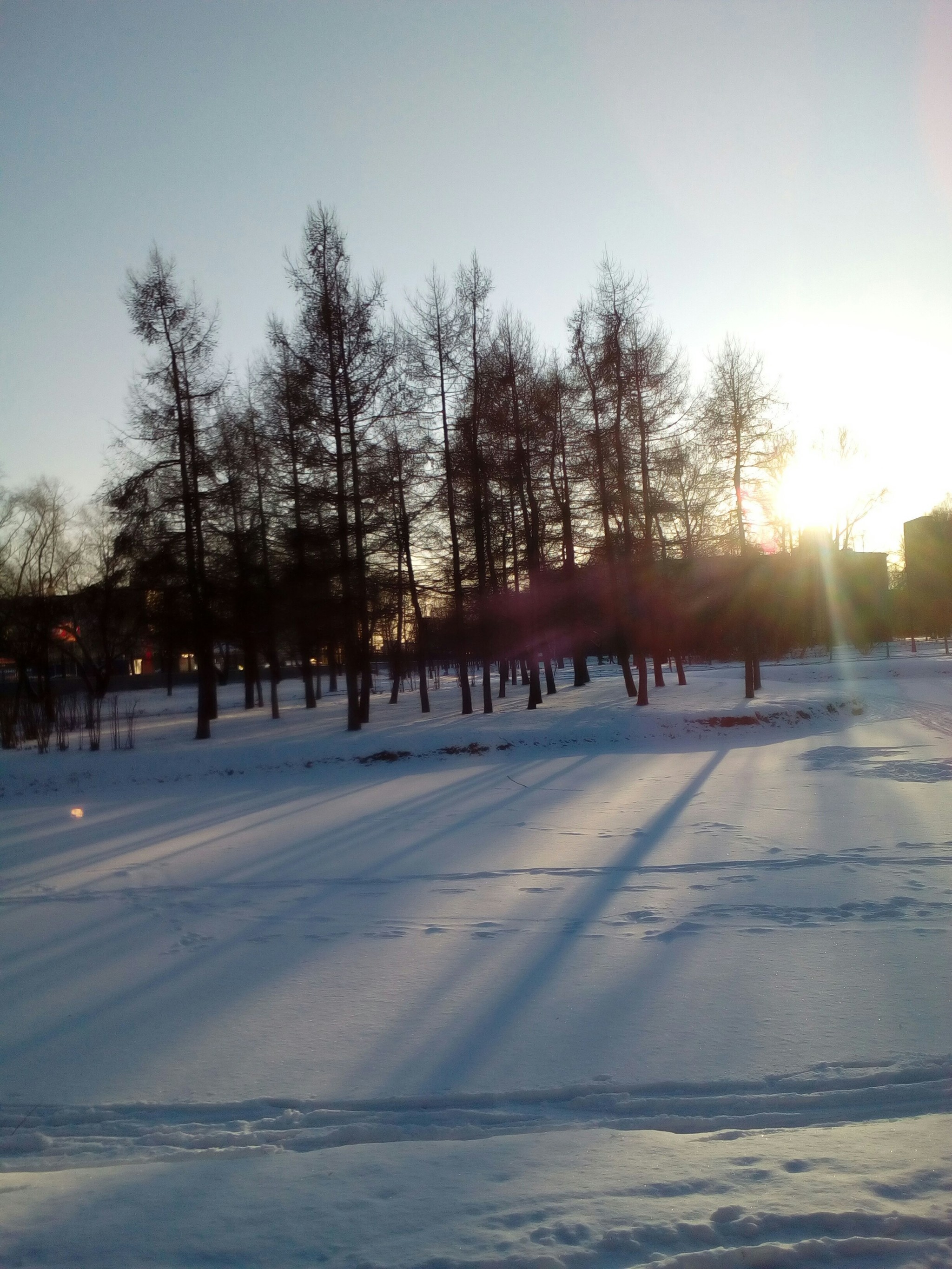 Park 9 January - My, Saint Petersburg, Winter, The park, Longpost