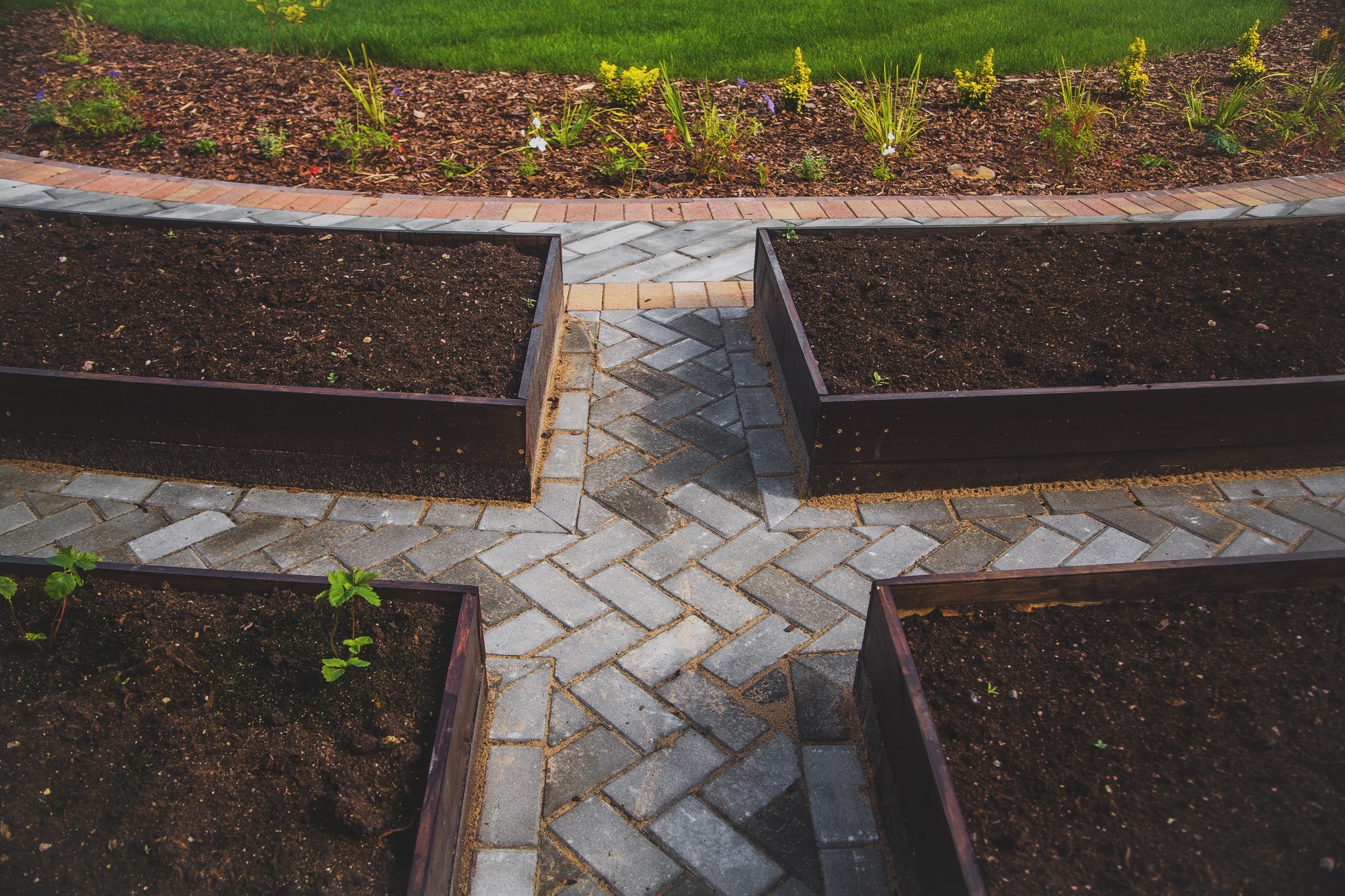 Beds for the soul - My, Paving stones, Garden, Landscape design, Saint Petersburg, Garden beds, Dacha, Favorite dacha, Longpost