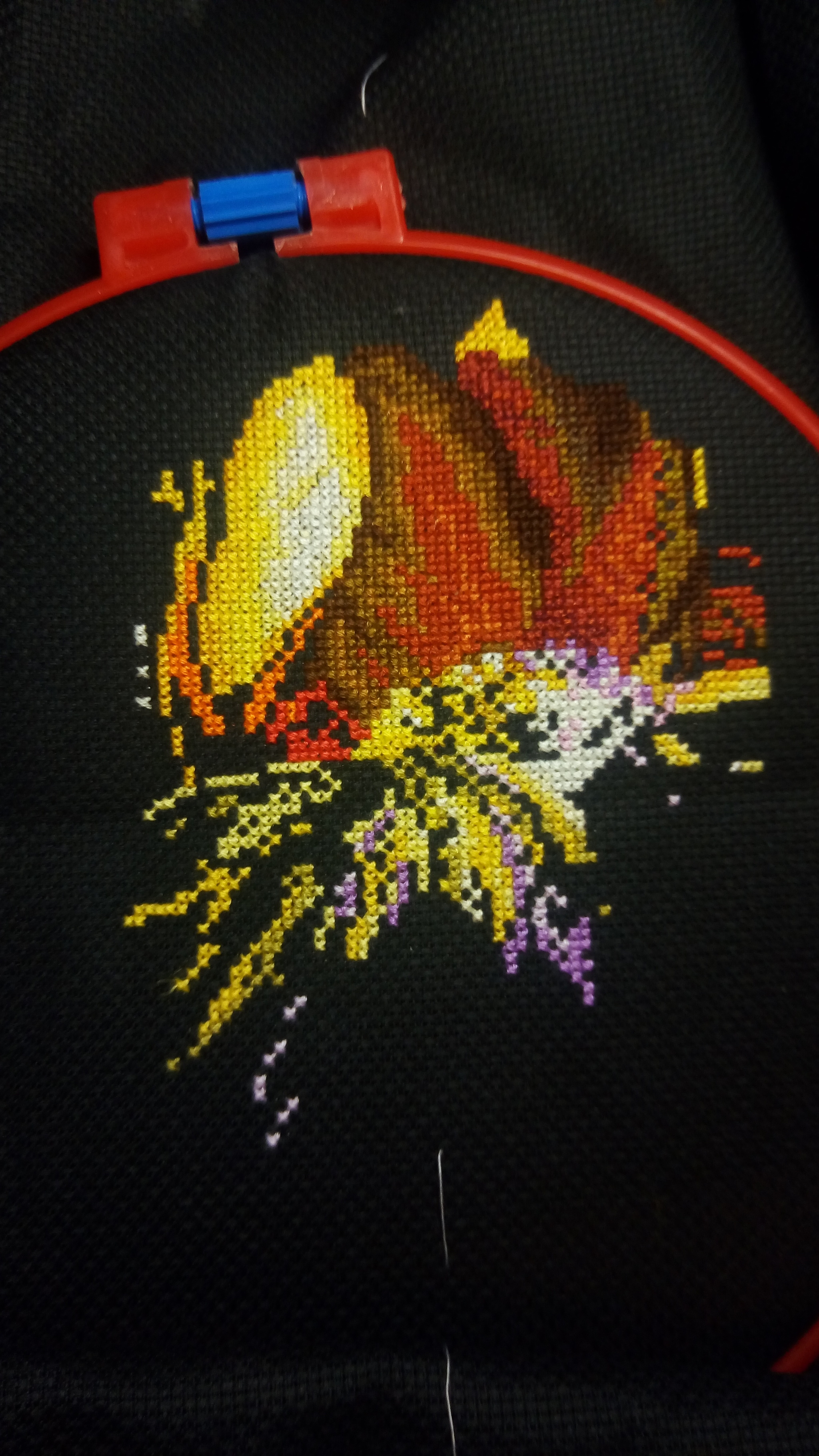 Iris Fire Waltz - My, Cross-stitch, Needlework with process, Irises, Longpost, Handmade