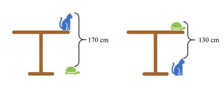 Задача для китайских детей про кота, стол и черепаху. Сумеете решить? - Задача, Китай