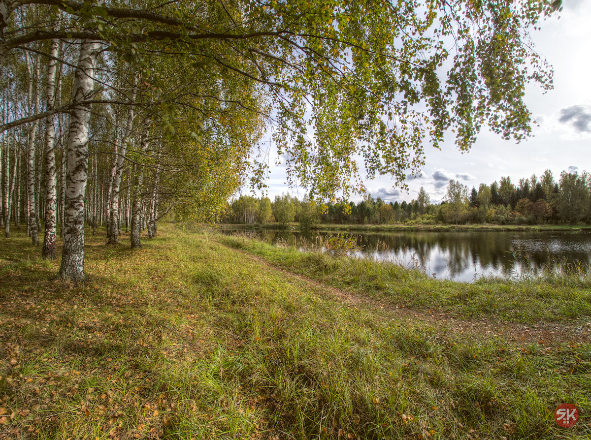 Дендропарк - Моё, Кострома, Фотография, Озеро, Березы, Дендрарий