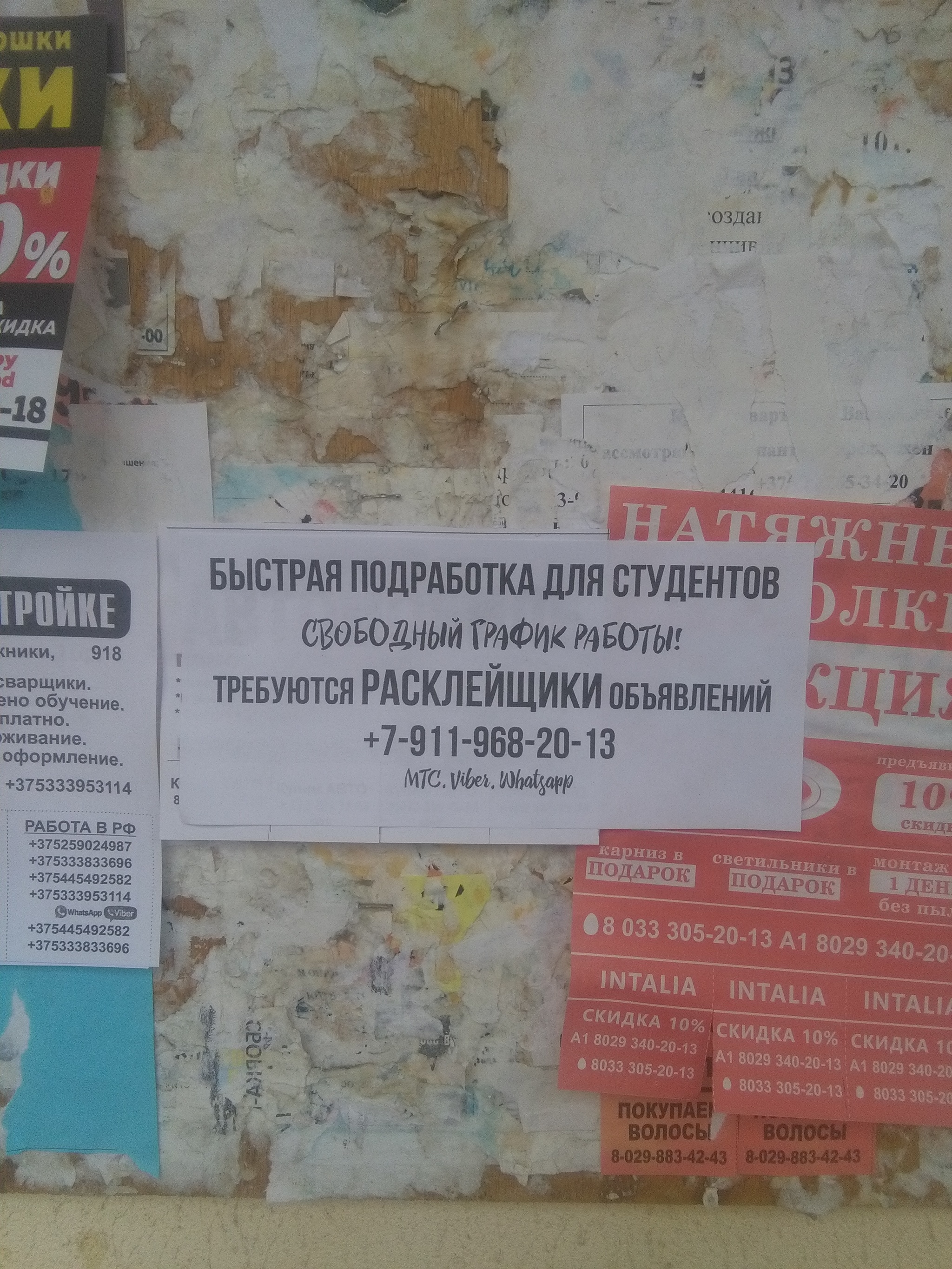 An ad poster is required to post advertisements about posting advertisements. - My, Republic of Belarus, Strange ads