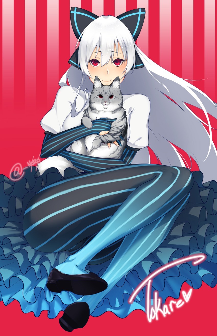 Comrade, leave the cat alone - Anime art, Girls frontline, Tokarev, cat, Anime