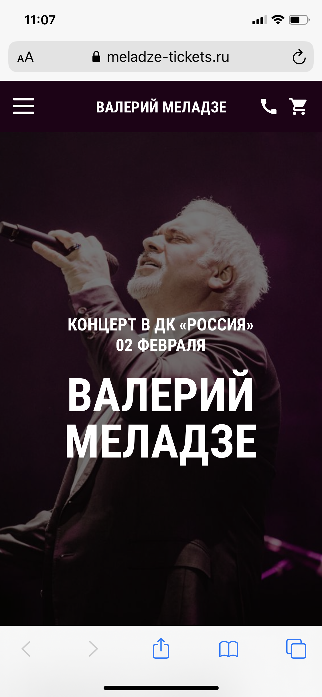 Как Валерий Меладзе в Серпухов «приехал» - Моё, Концерт, Валерий Меладзе, Серпухов, Длиннопост, Знаменитости, Российская эстрада, Жалоба