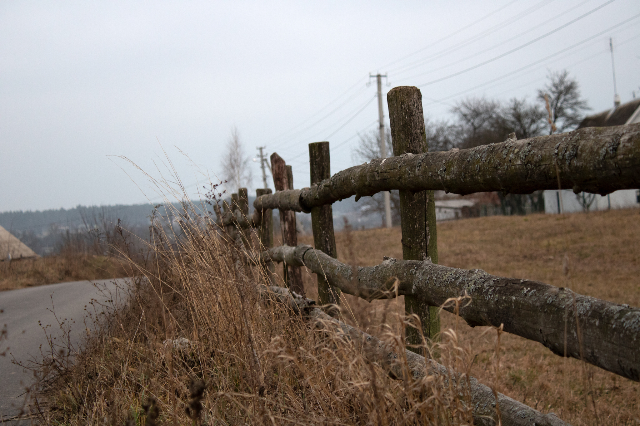 Outskirts of the city - My, The photo, Landscapes, Longpost