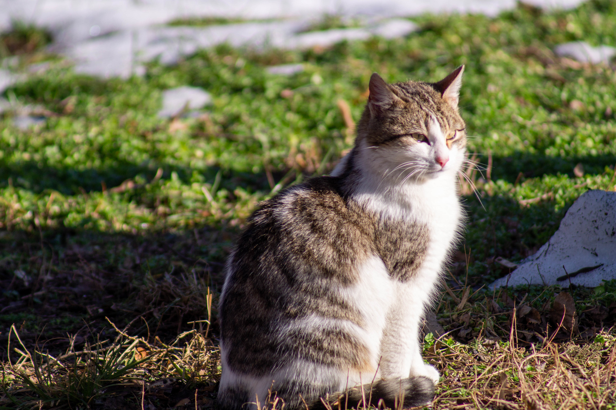 Winter. Rostov-on-Don. Zoo - My, Rostov-on-Don, Zoo, I want criticism, Longpost, Animals, Birds, The photo