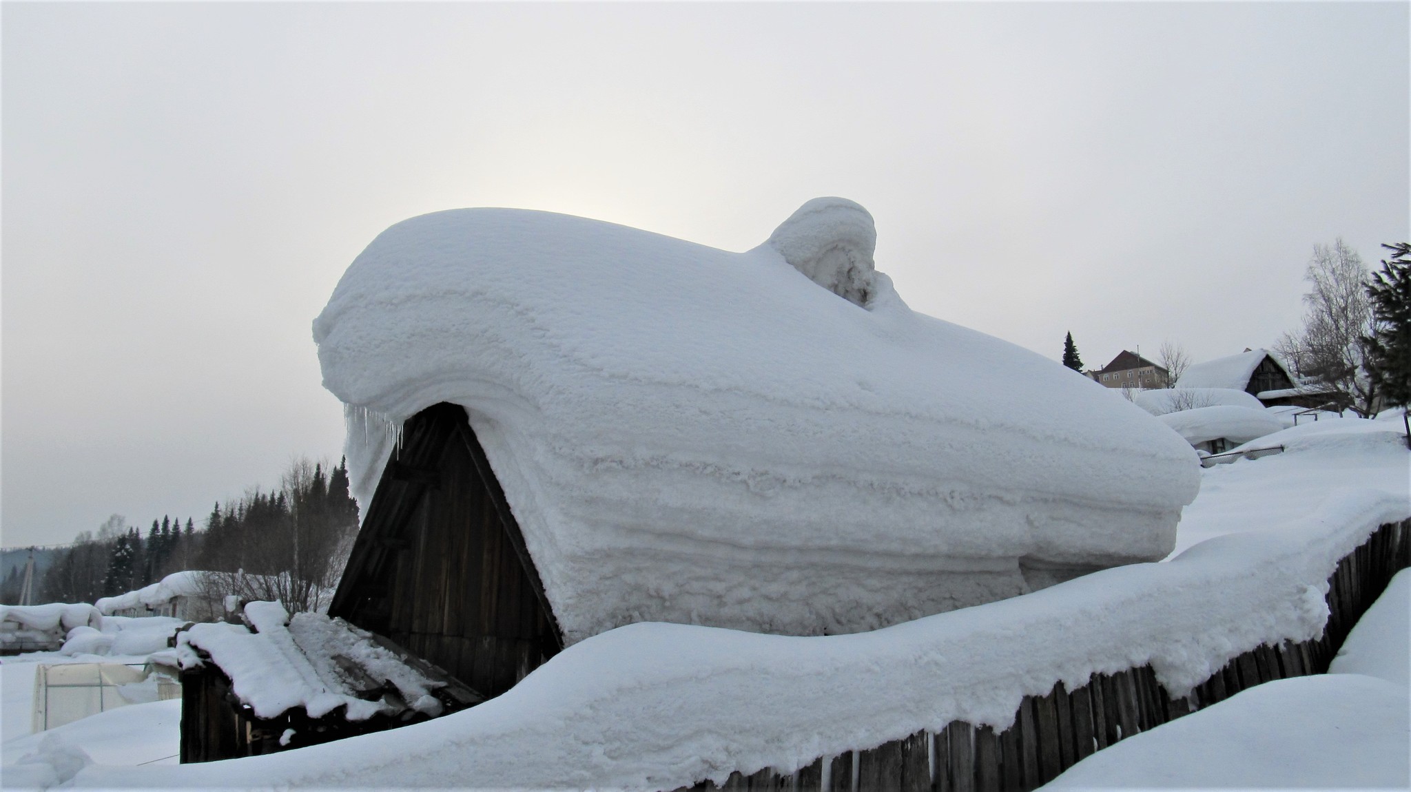 I wonder if it will last until spring? - My, Winter, Snow, Dacha, Laziness