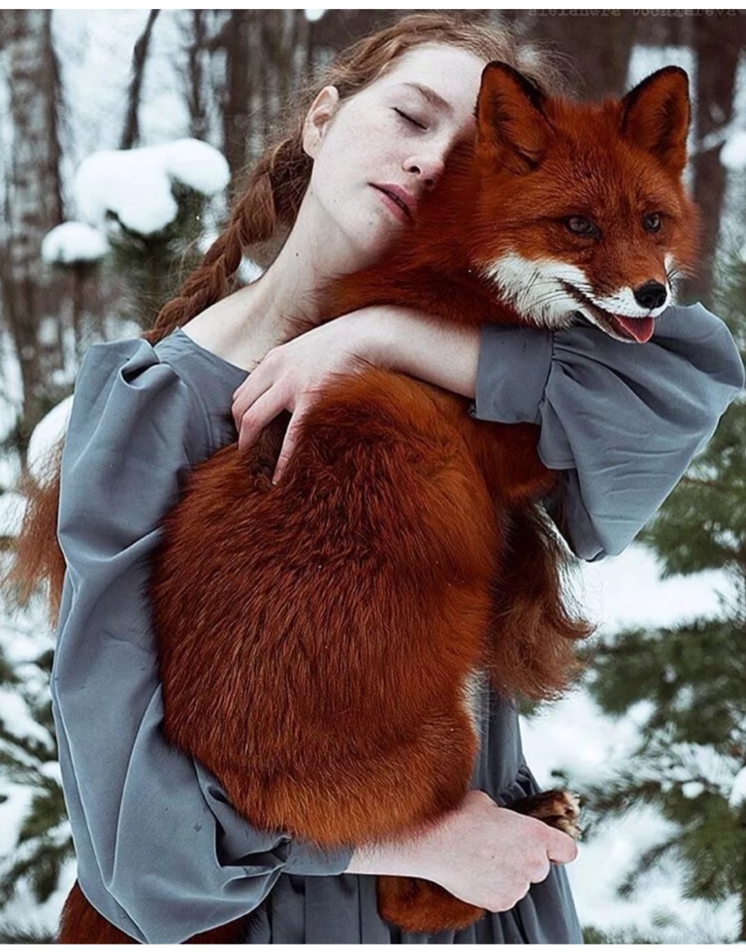 Redness - Redheads, Girls, Fox, beauty, The photo, Longpost