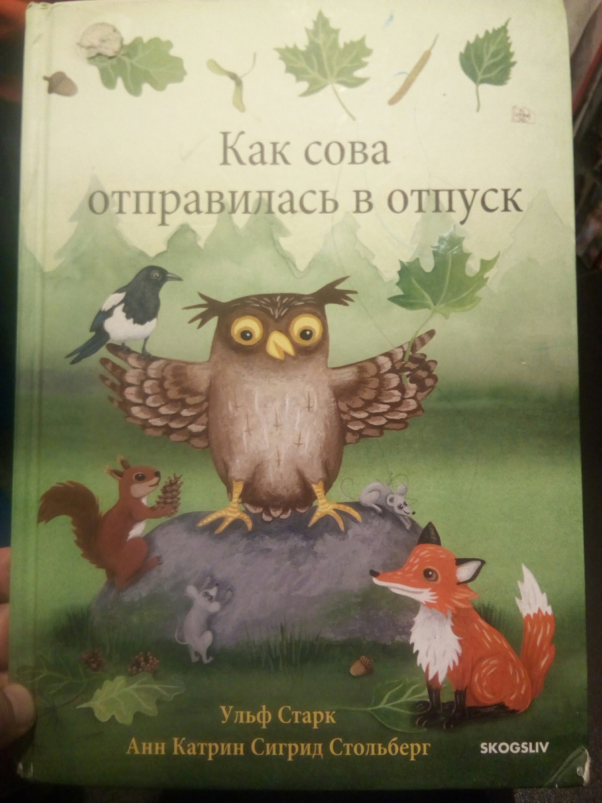 Про сову | Пикабу