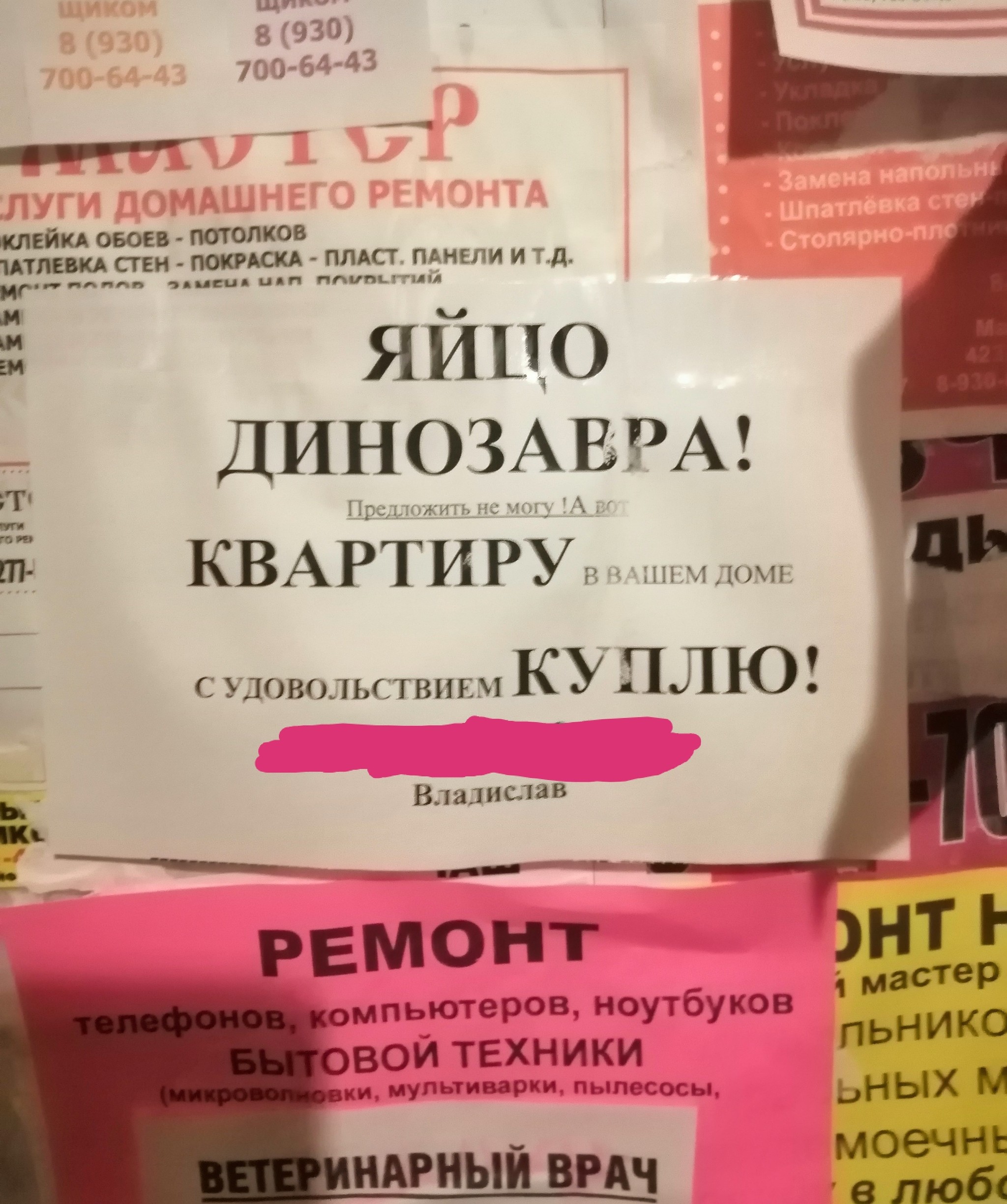 Объявление) - Моё, Объявление, Продажа недвижимости, Яйцо динозавра