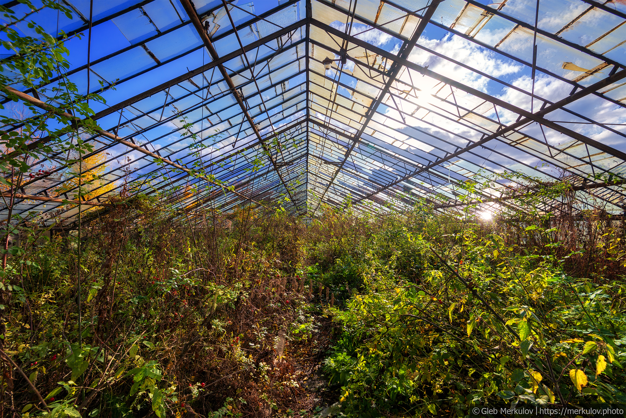 Greenhouses forgotten by people on the outskirts of Moscow - My, Moscow, Abandoned, Cast, Longpost, Greenhouse, Mytischi, I want criticism