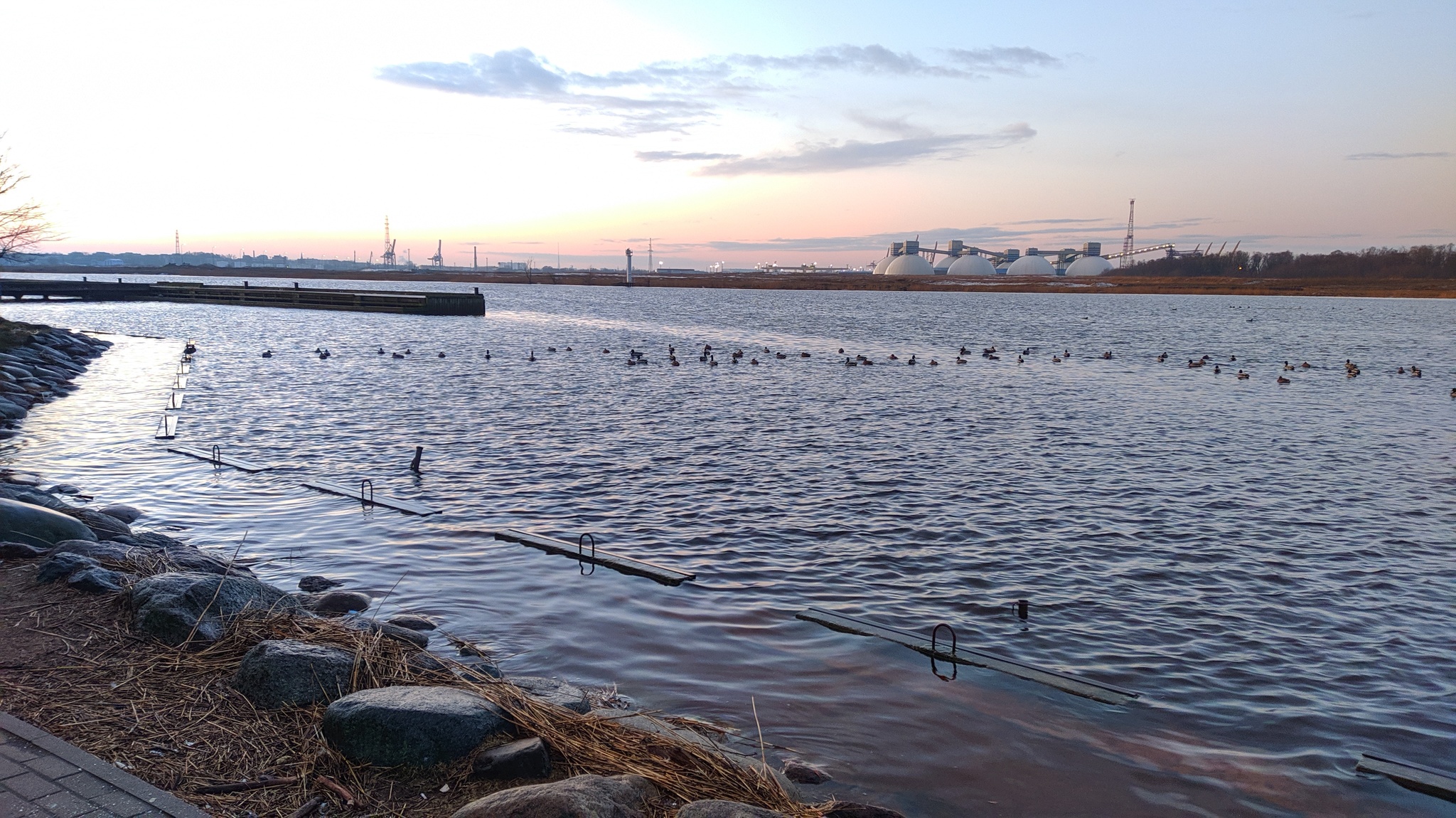 In the morning at dawn - My, dawn, Morning, Duck, The pier, River, Town, Longpost