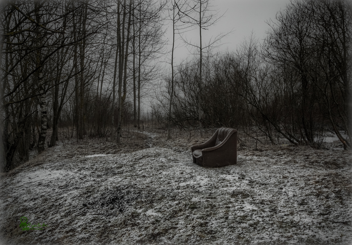 Вот и зима пришла - Моё, Февраль, Красное село, Санкт-Петербург, Длиннопост