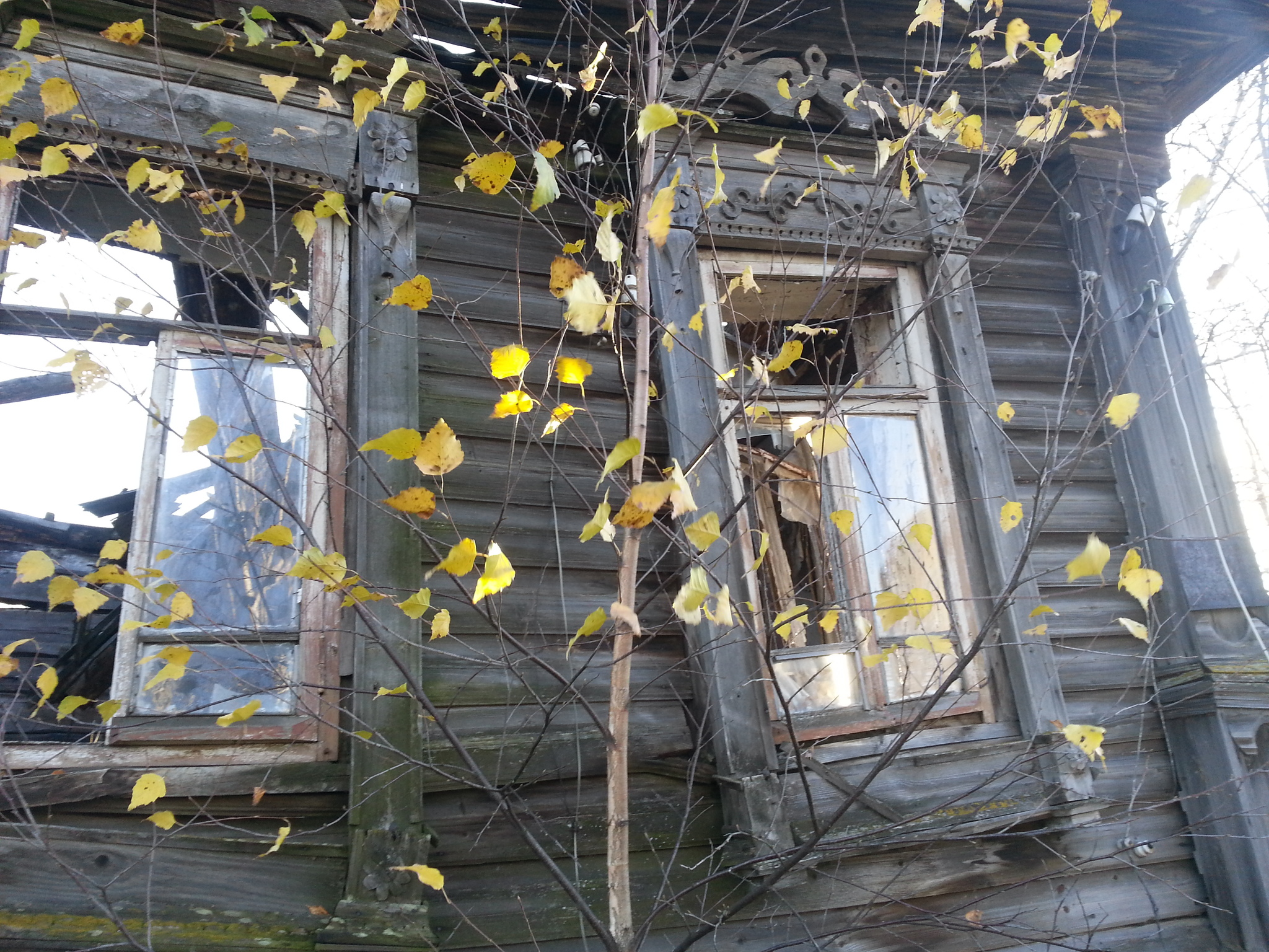 Old houses - My, Old houses, Old man, Homeland, Longpost