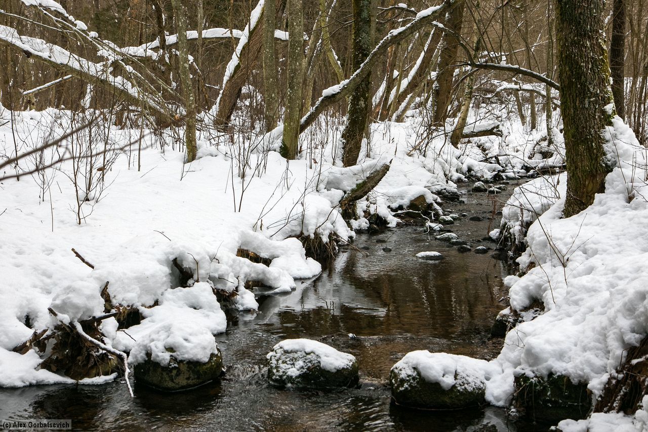 Winter trail 50 km - My, Ultramarathon, Run, Longpost