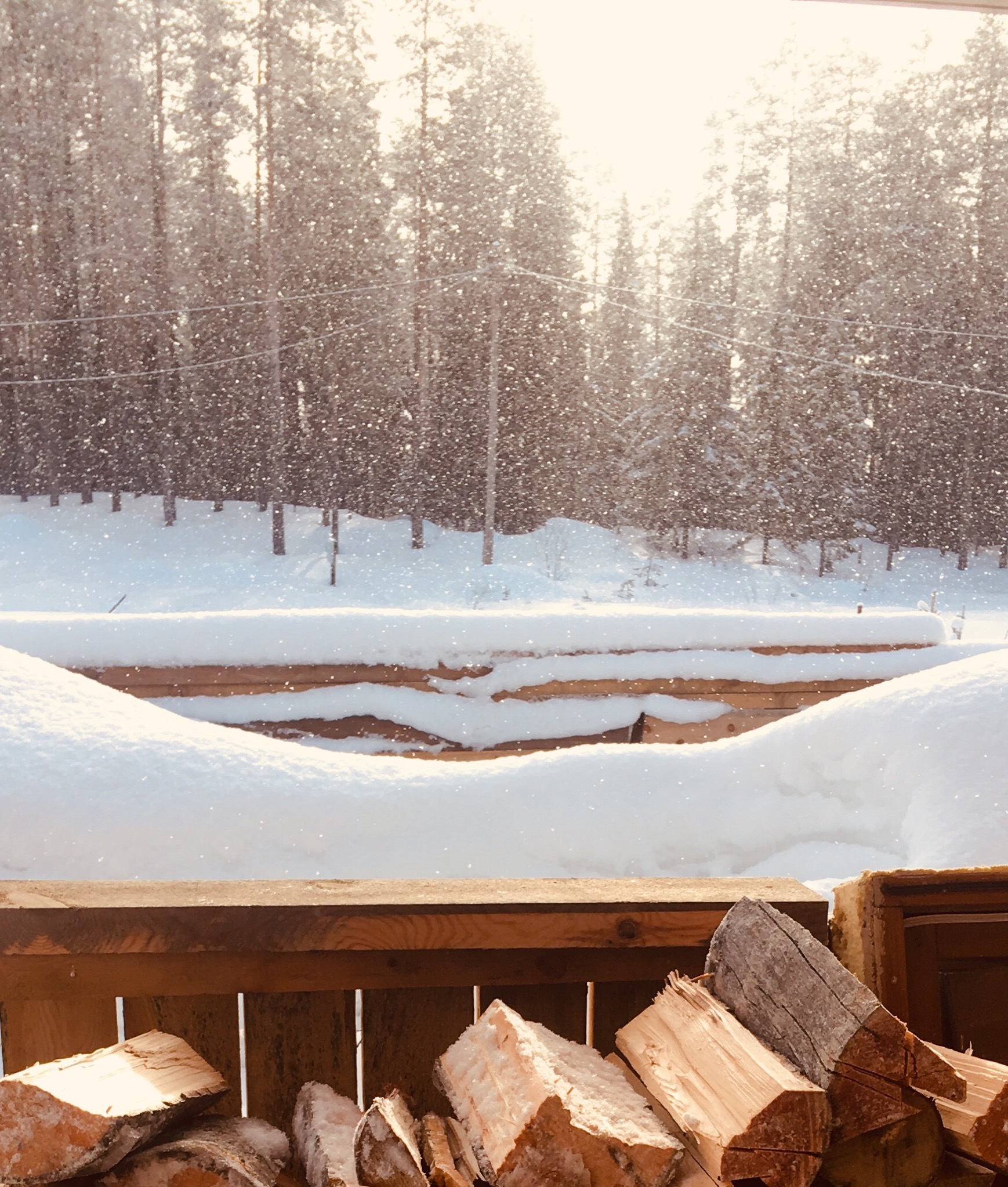 Silence - My, Kostomuksha, Dacha, Snow, Карелия, The sun, Spring, The photo