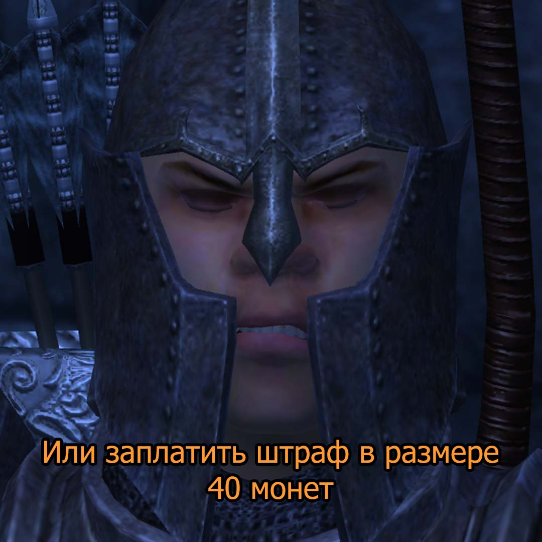 Typical Oblivion - The elder scrolls, The Elder Scrolls IV: Oblivion, Games, Memes, Longpost, Khajiit